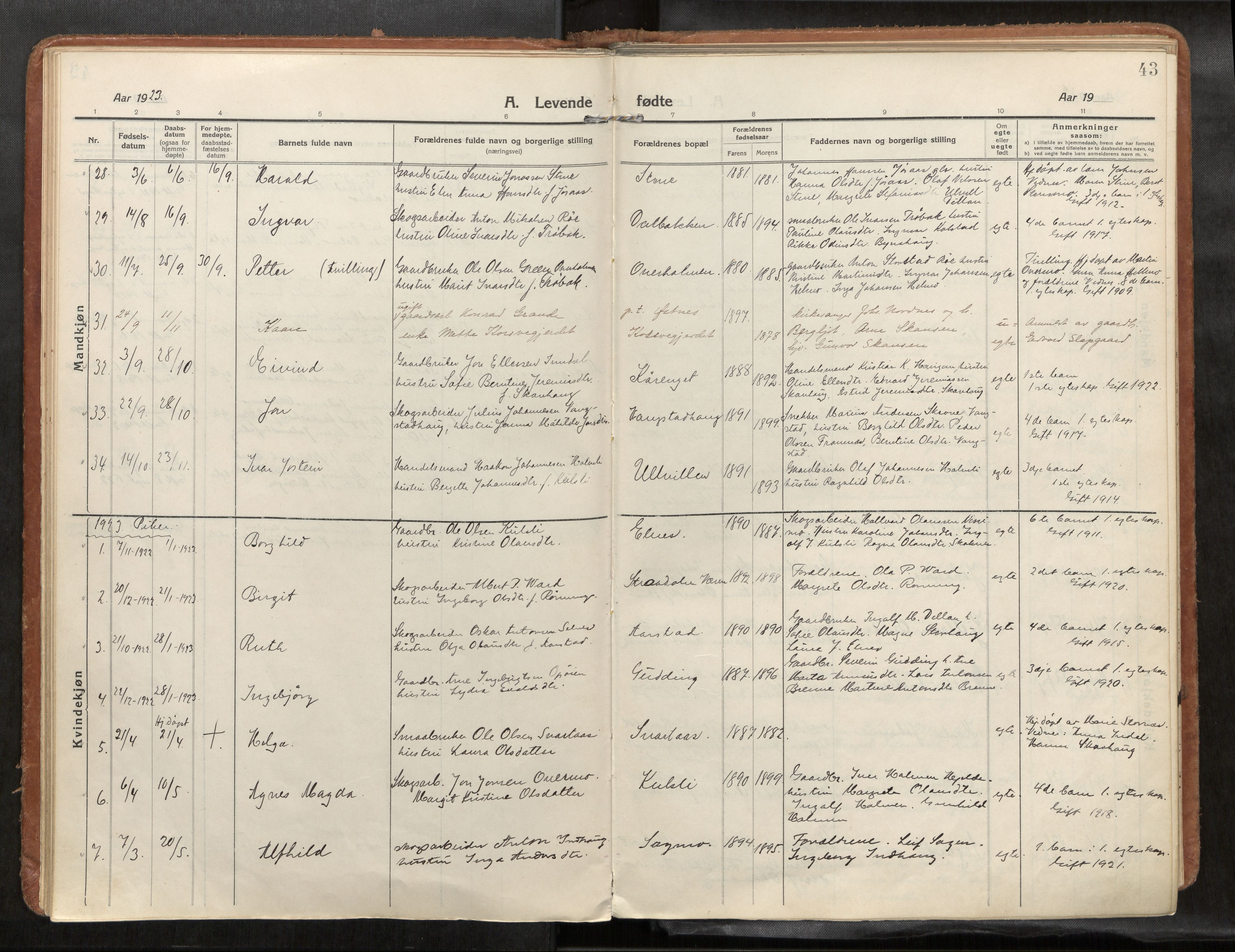 Verdal sokneprestkontor, SAT/A-1156/2/H/Haa/L0004: Parish register (official) no. 4, 1916-1928, p. 43