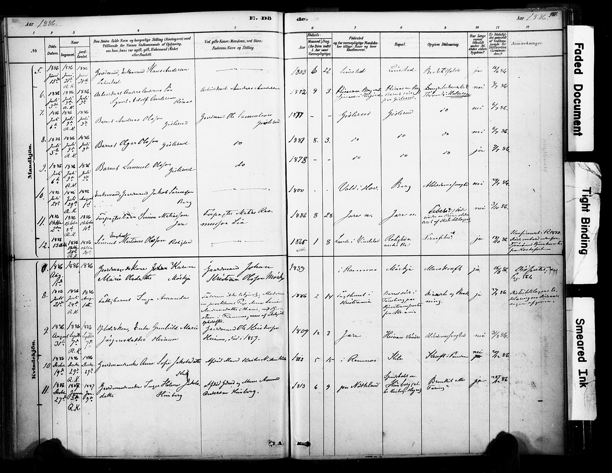 Ramnes kirkebøker, AV/SAKO-A-314/F/Fa/L0007: Parish register (official) no. I 7, 1878-1895, p. 480-481