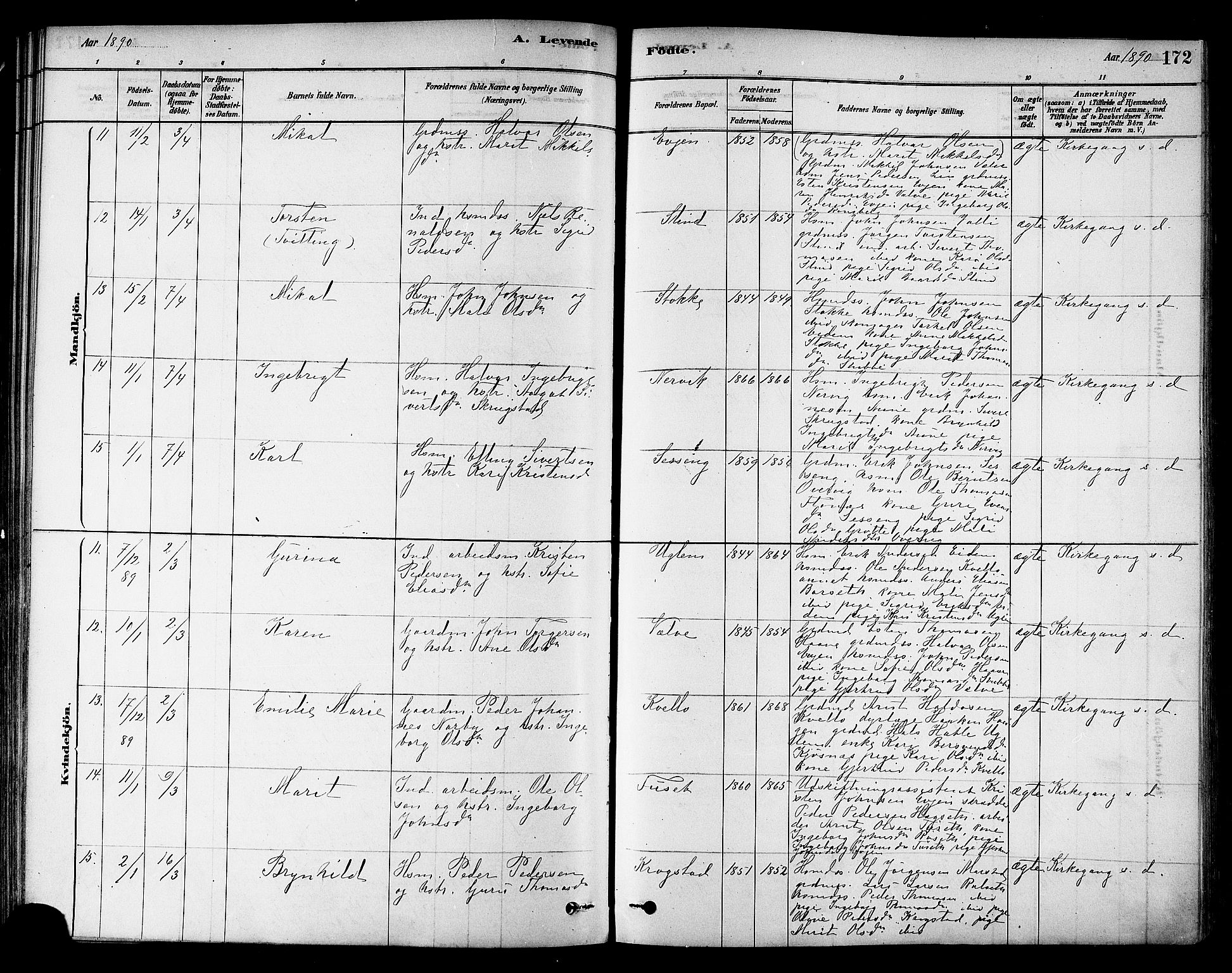 Ministerialprotokoller, klokkerbøker og fødselsregistre - Sør-Trøndelag, AV/SAT-A-1456/695/L1148: Parish register (official) no. 695A08, 1878-1891, p. 172