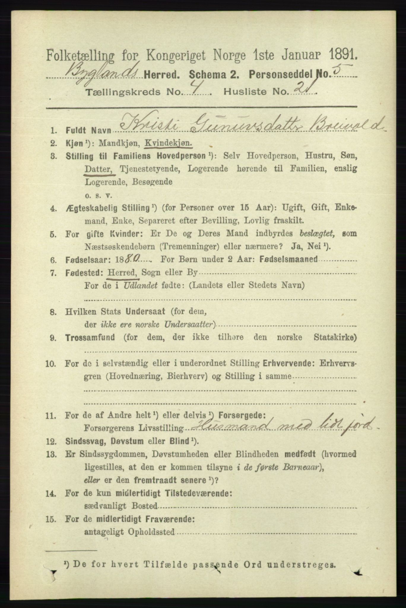 RA, 1891 census for 0938 Bygland, 1891, p. 993