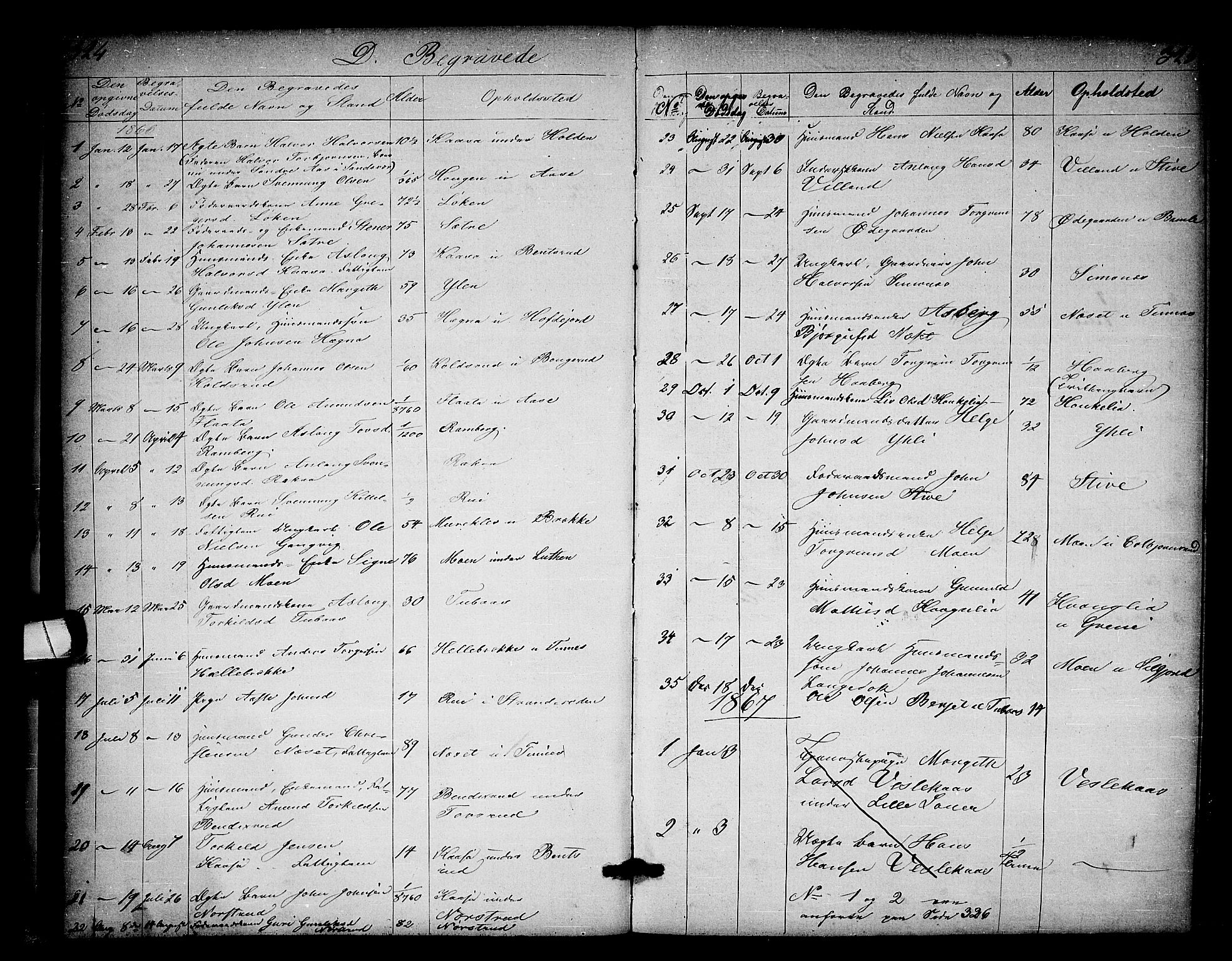 Heddal kirkebøker, SAKO/A-268/G/Ga/L0001: Parish register (copy) no. I 1, 1866-1878, p. 324-325