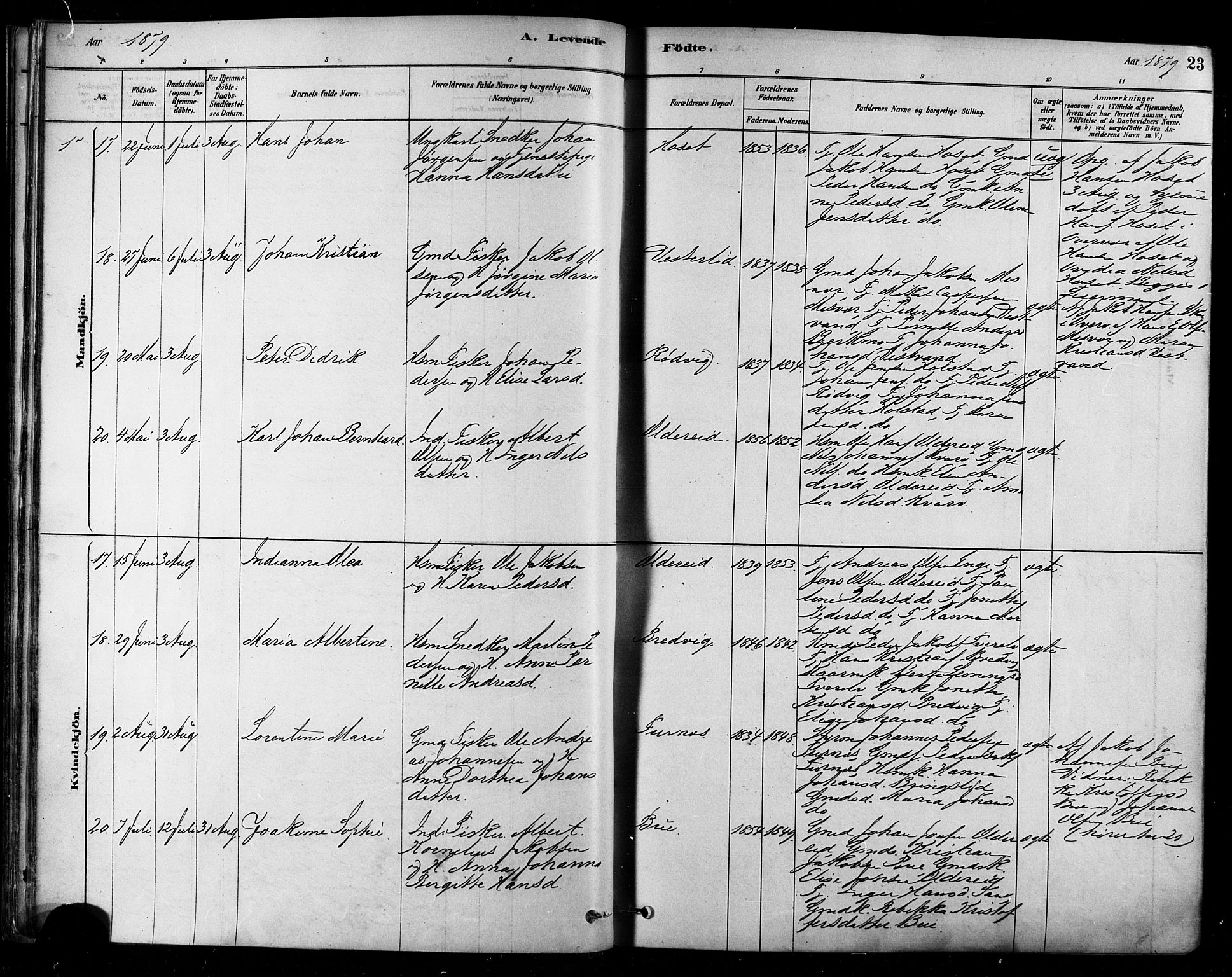 Ministerialprotokoller, klokkerbøker og fødselsregistre - Nordland, AV/SAT-A-1459/852/L0740: Parish register (official) no. 852A10, 1878-1894, p. 23