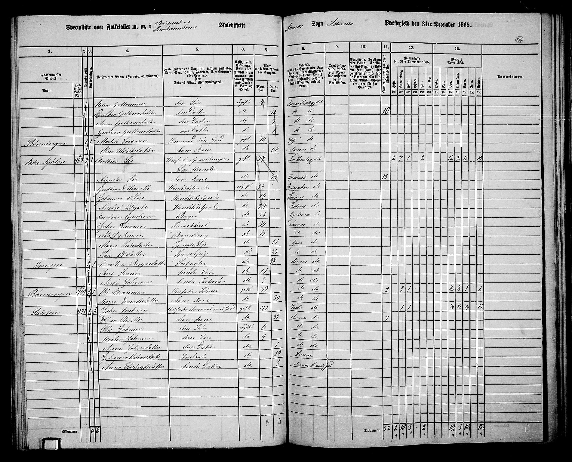 RA, 1865 census for Åsnes, 1865, p. 127