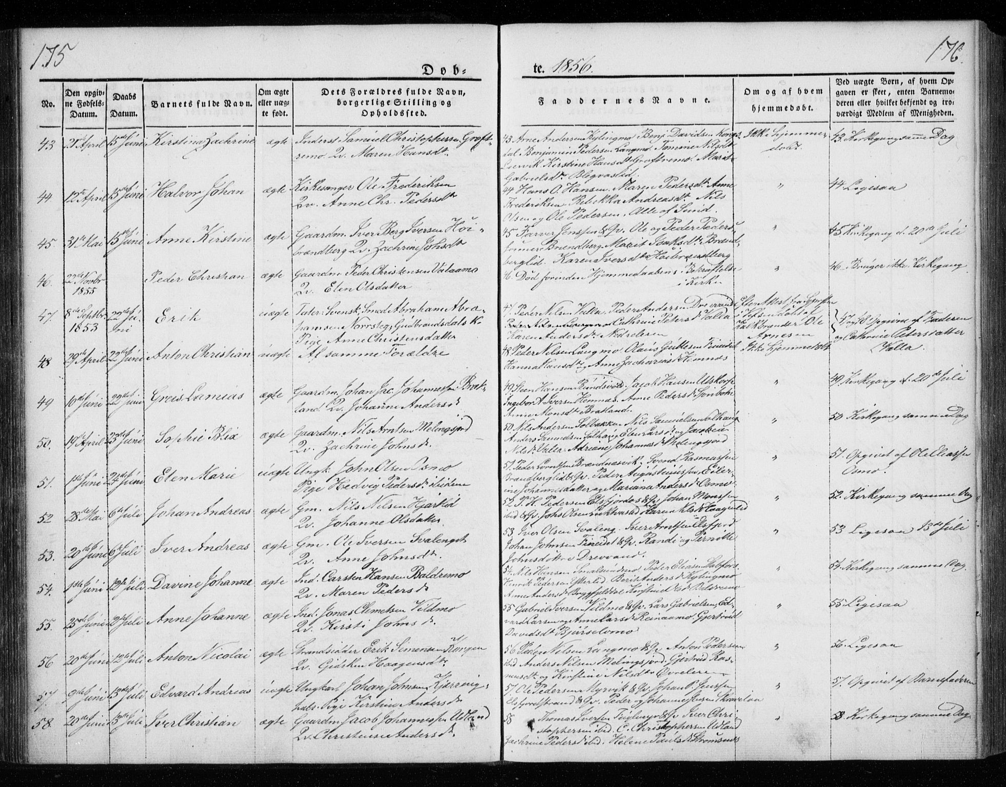 Ministerialprotokoller, klokkerbøker og fødselsregistre - Nordland, AV/SAT-A-1459/825/L0355: Parish register (official) no. 825A09, 1842-1863, p. 175-176