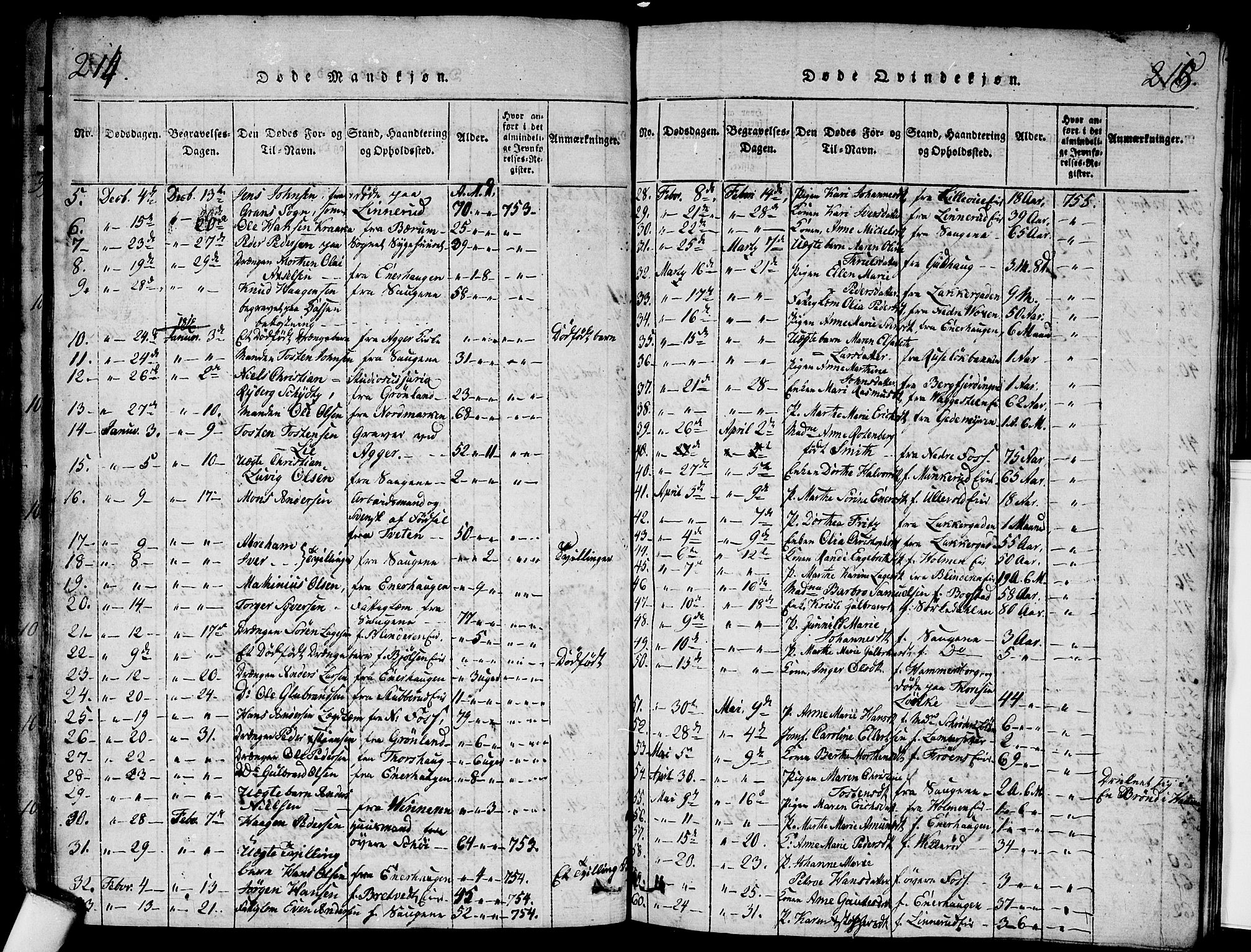 Aker prestekontor kirkebøker, AV/SAO-A-10861/G/L0002: Parish register (copy) no. 2, 1815-1819, p. 214-215