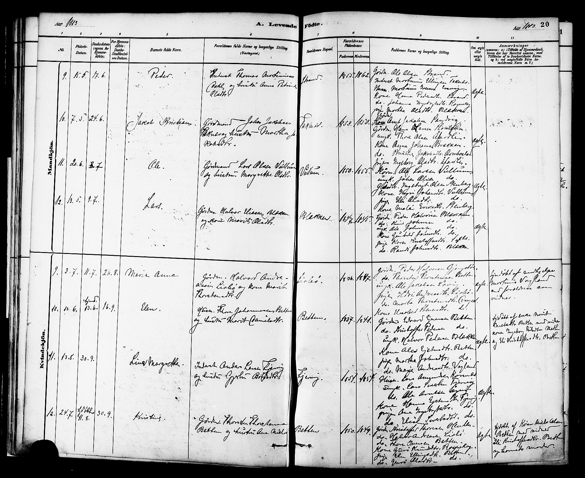 Ministerialprotokoller, klokkerbøker og fødselsregistre - Møre og Romsdal, AV/SAT-A-1454/576/L0885: Parish register (official) no. 576A03, 1880-1898, p. 20