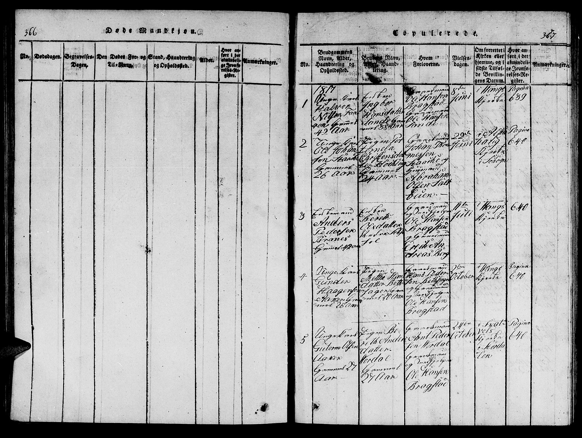 Ministerialprotokoller, klokkerbøker og fødselsregistre - Nord-Trøndelag, SAT/A-1458/714/L0132: Parish register (copy) no. 714C01, 1817-1824, p. 366-367