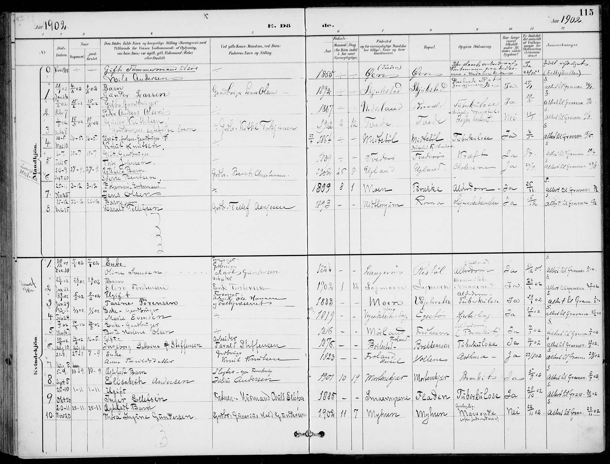 Austre Moland sokneprestkontor, SAK/1111-0001/F/Fa/Faa/L0011: Parish register (official) no. A 11, 1894-1915, p. 115