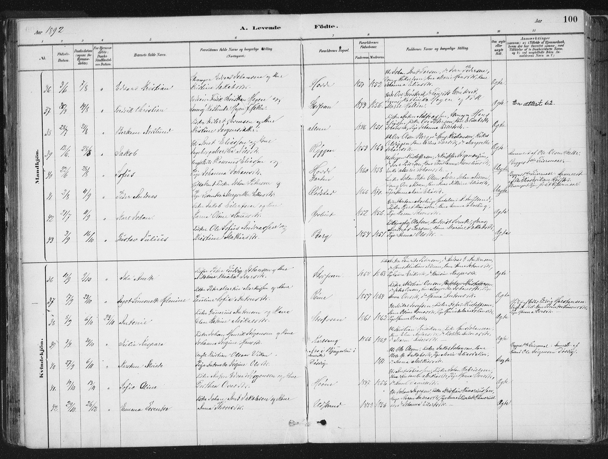 Ministerialprotokoller, klokkerbøker og fødselsregistre - Sør-Trøndelag, AV/SAT-A-1456/659/L0739: Parish register (official) no. 659A09, 1879-1893, p. 100