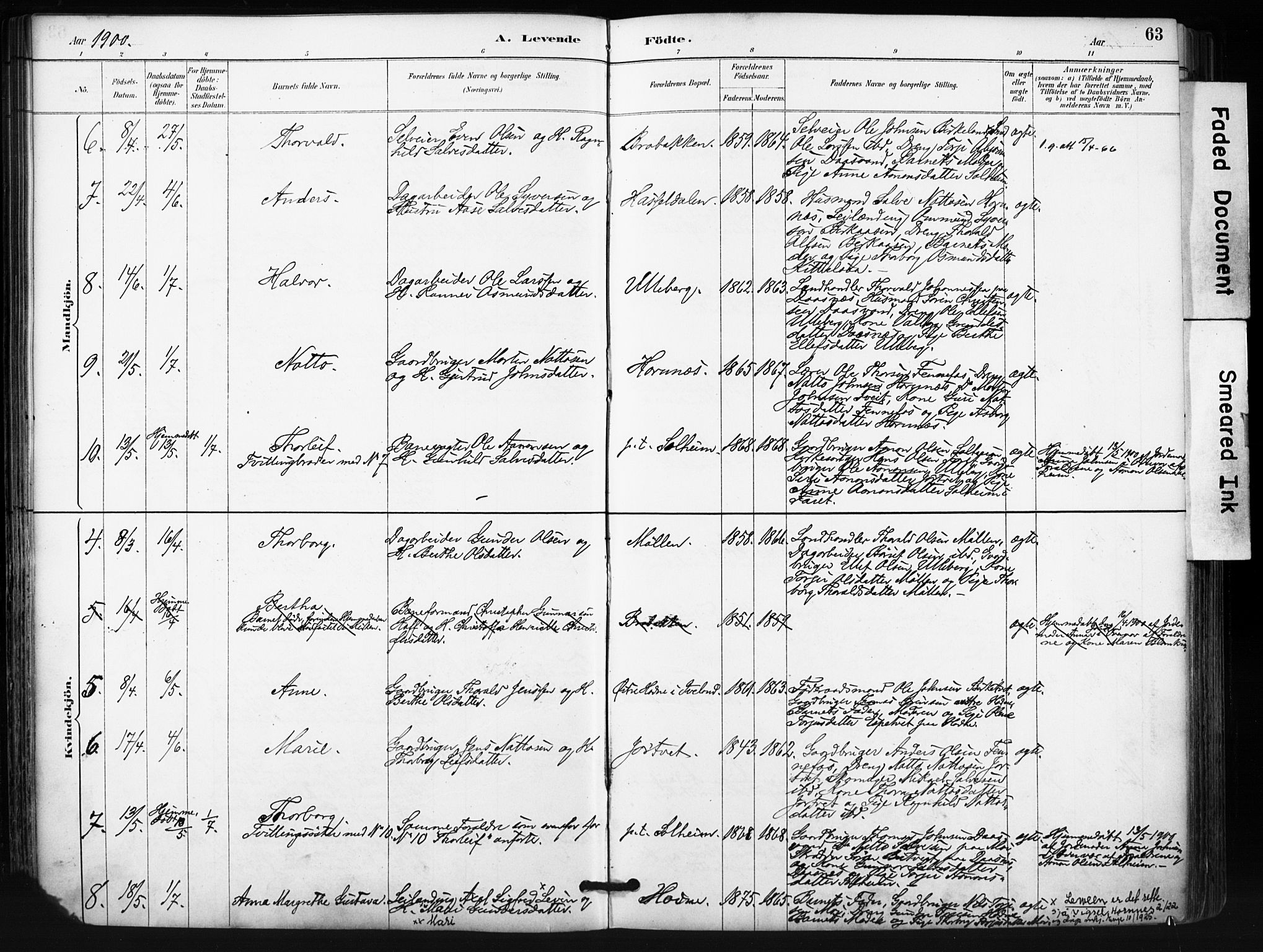 Evje sokneprestkontor, AV/SAK-1111-0008/F/Fa/Fab/L0003: Parish register (official) no. A 3, 1884-1909, p. 63