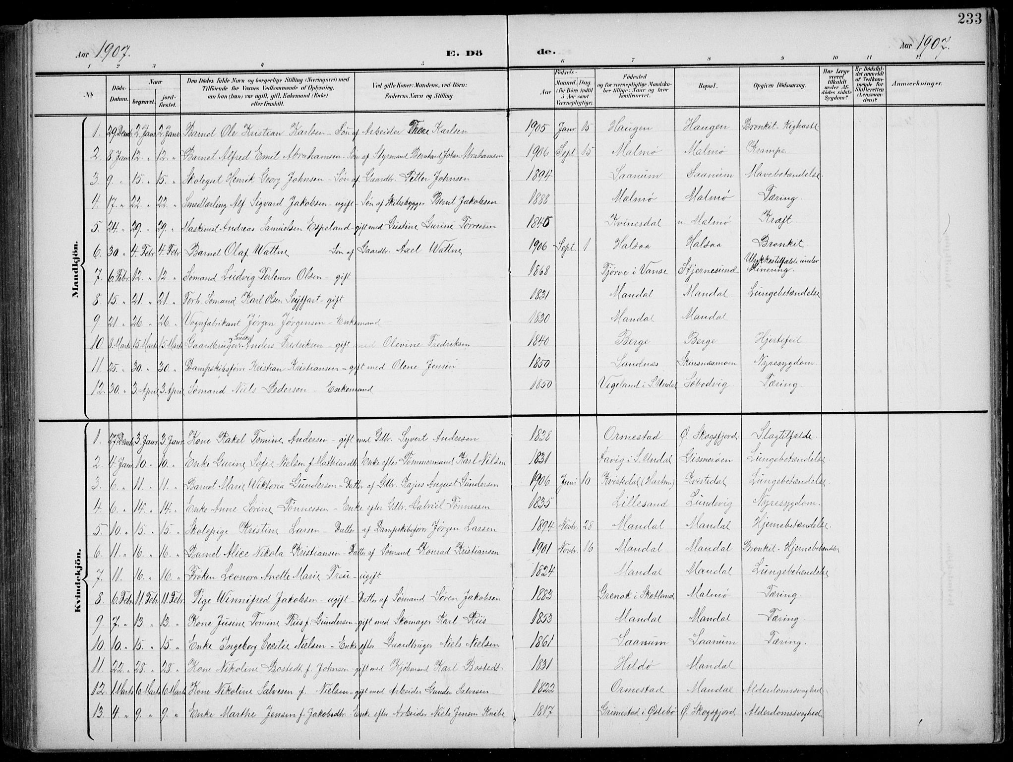 Mandal sokneprestkontor, AV/SAK-1111-0030/F/Fb/Fba/L0012: Parish register (copy) no. B 6, 1899-1918, p. 233