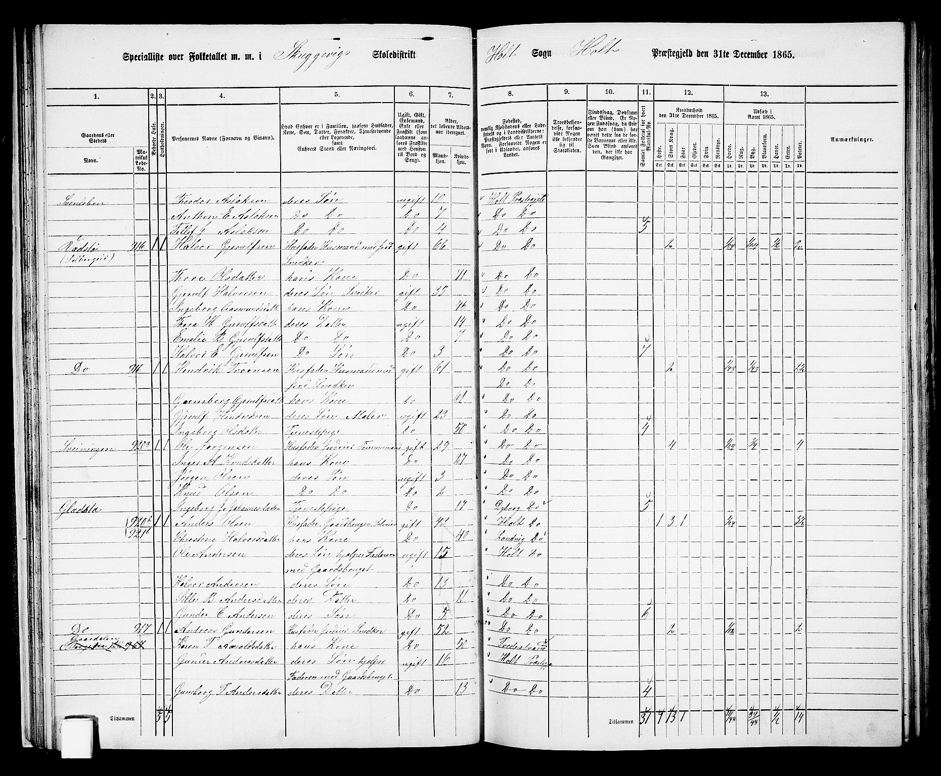 RA, 1865 census for Holt/Holt, 1865, p. 33