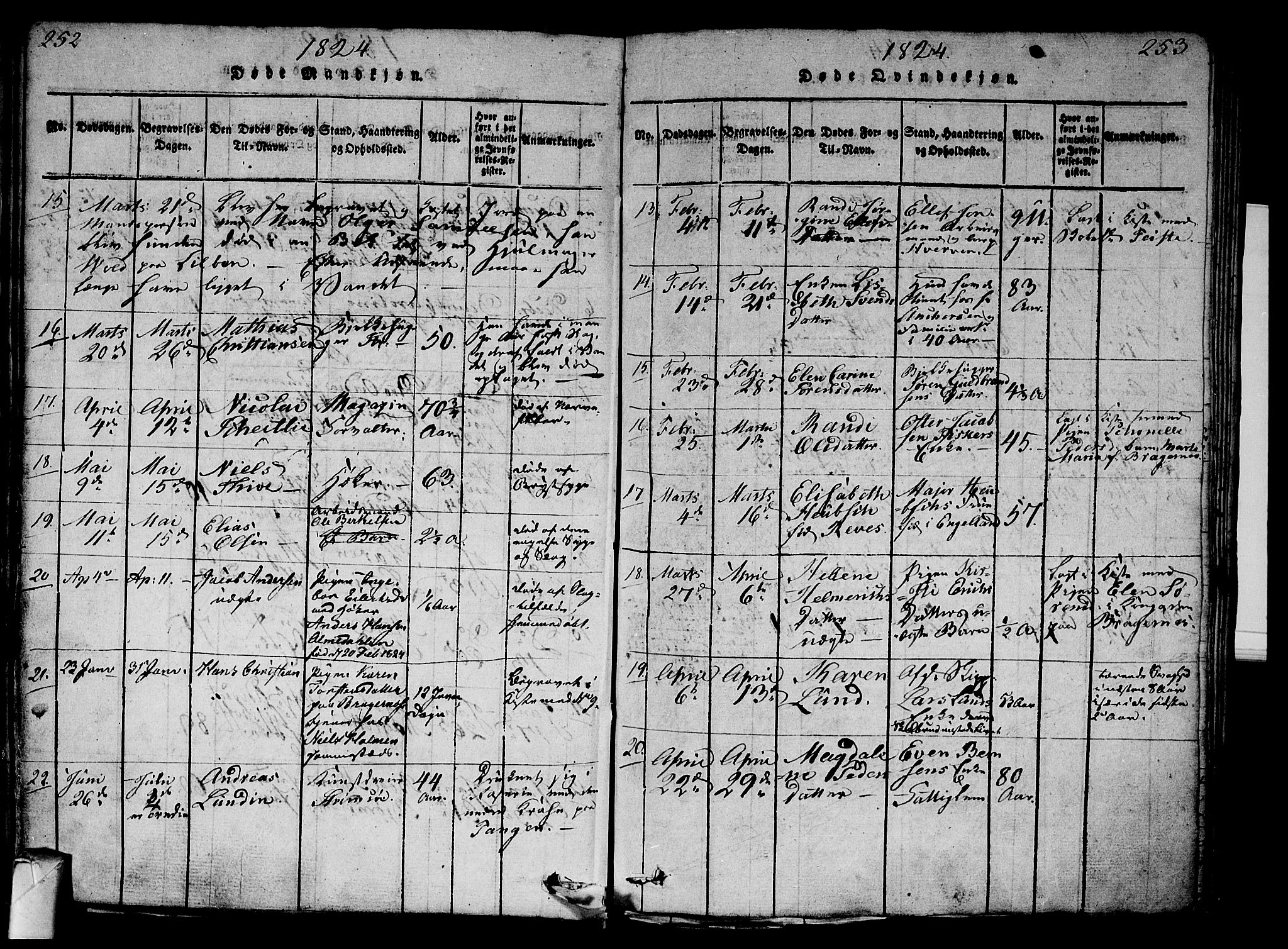 Strømsø kirkebøker, AV/SAKO-A-246/G/Ga/L0001: Parish register (copy) no. 1, 1815-1829, p. 252-253