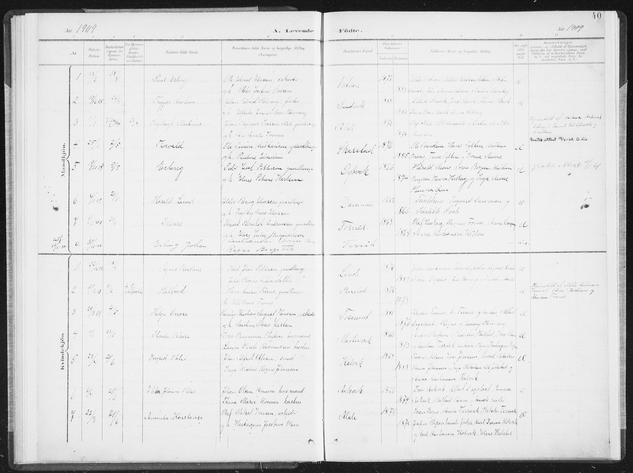 Ministerialprotokoller, klokkerbøker og fødselsregistre - Nordland, AV/SAT-A-1459/810/L0153: Parish register (official) no. 810A12, 1899-1914, p. 40