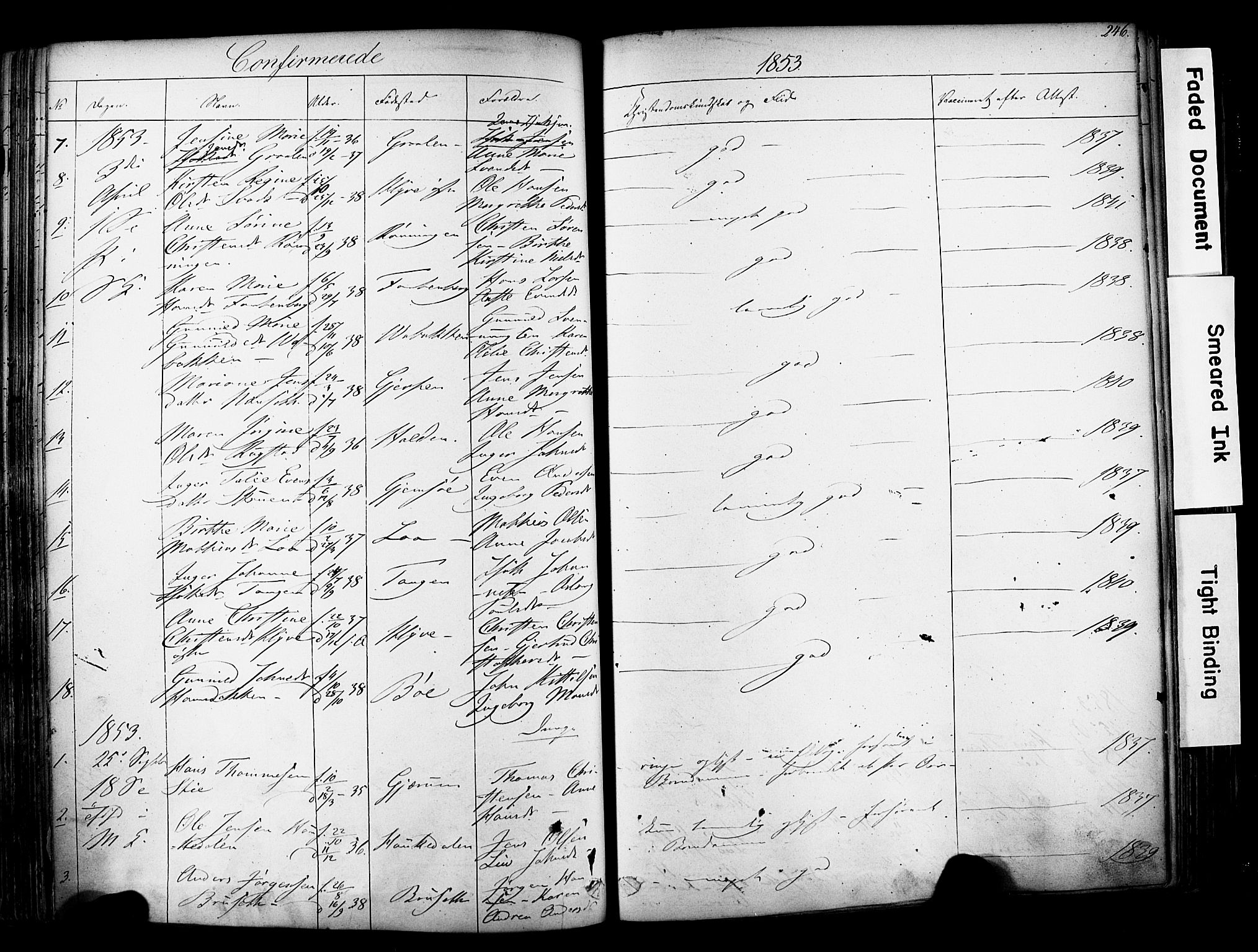 Solum kirkebøker, SAKO/A-306/F/Fa/L0006: Parish register (official) no. I 6, 1844-1855, p. 246