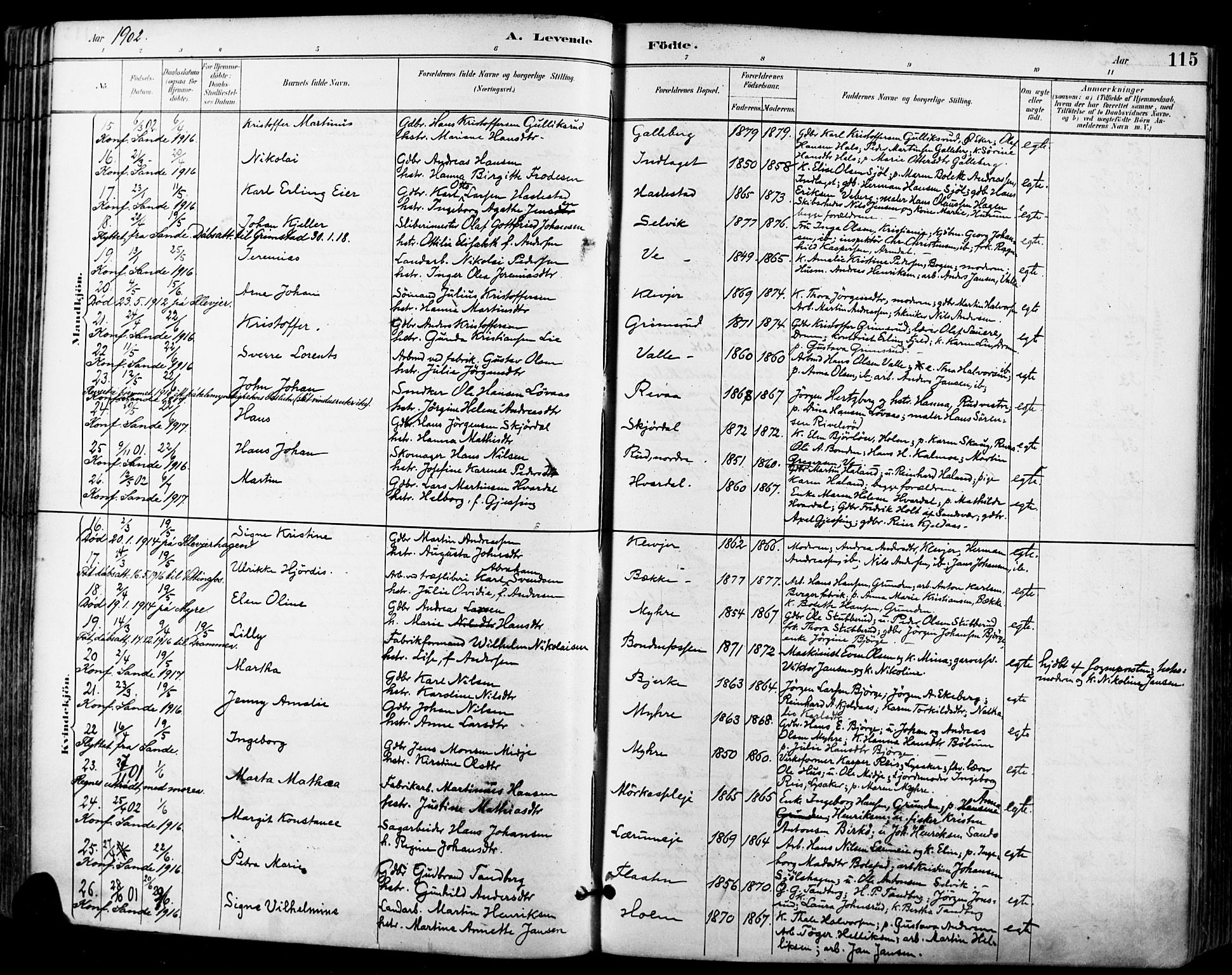 Sande Kirkebøker, AV/SAKO-A-53/F/Fa/L0007: Parish register (official) no. 7, 1888-1903, p. 115