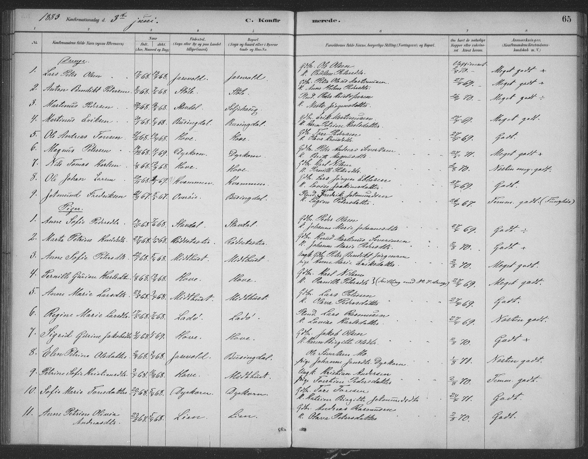 Ministerialprotokoller, klokkerbøker og fødselsregistre - Møre og Romsdal, SAT/A-1454/521/L0299: Parish register (official) no. 521A01, 1882-1907, p. 65