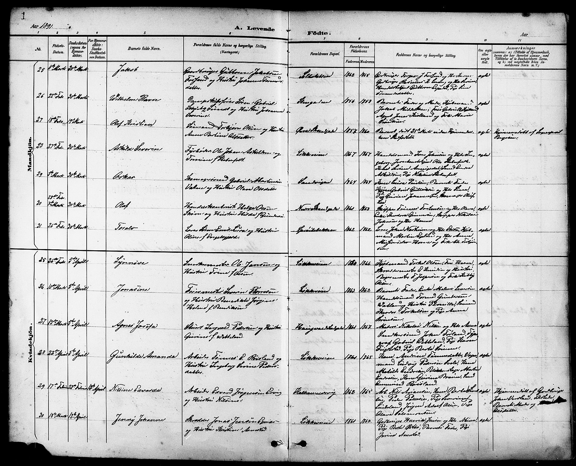 Domkirken sokneprestkontor, SAST/A-101812/001/30/30BB/L0016: Parish register (copy) no. B 16, 1891-1902, p. 1