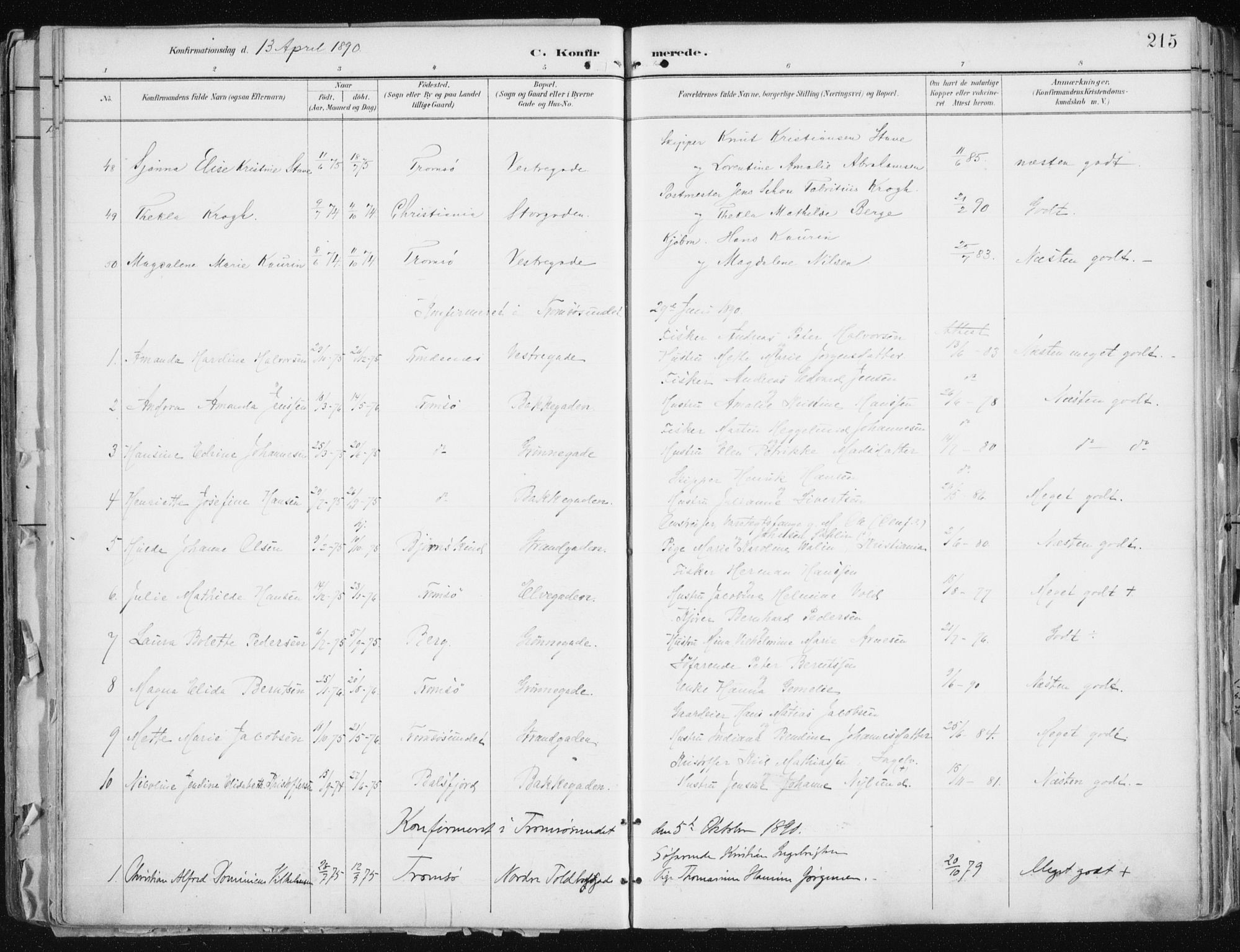 Tromsø sokneprestkontor/stiftsprosti/domprosti, AV/SATØ-S-1343/G/Ga/L0015kirke: Parish register (official) no. 15, 1889-1899, p. 215