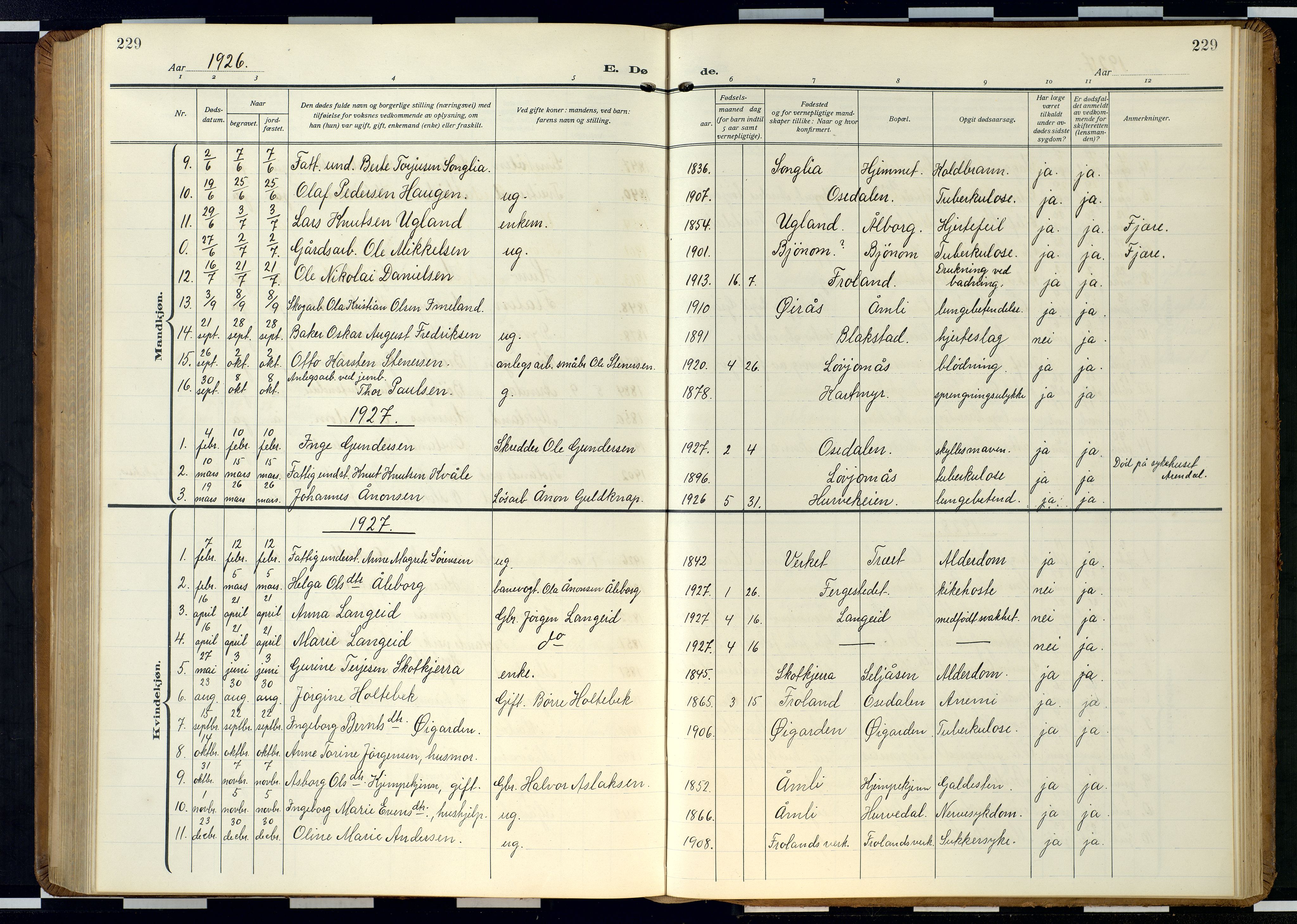 Froland sokneprestkontor, AV/SAK-1111-0013/F/Fb/L0011: Parish register (copy) no. B 11, 1921-1947, p. 229