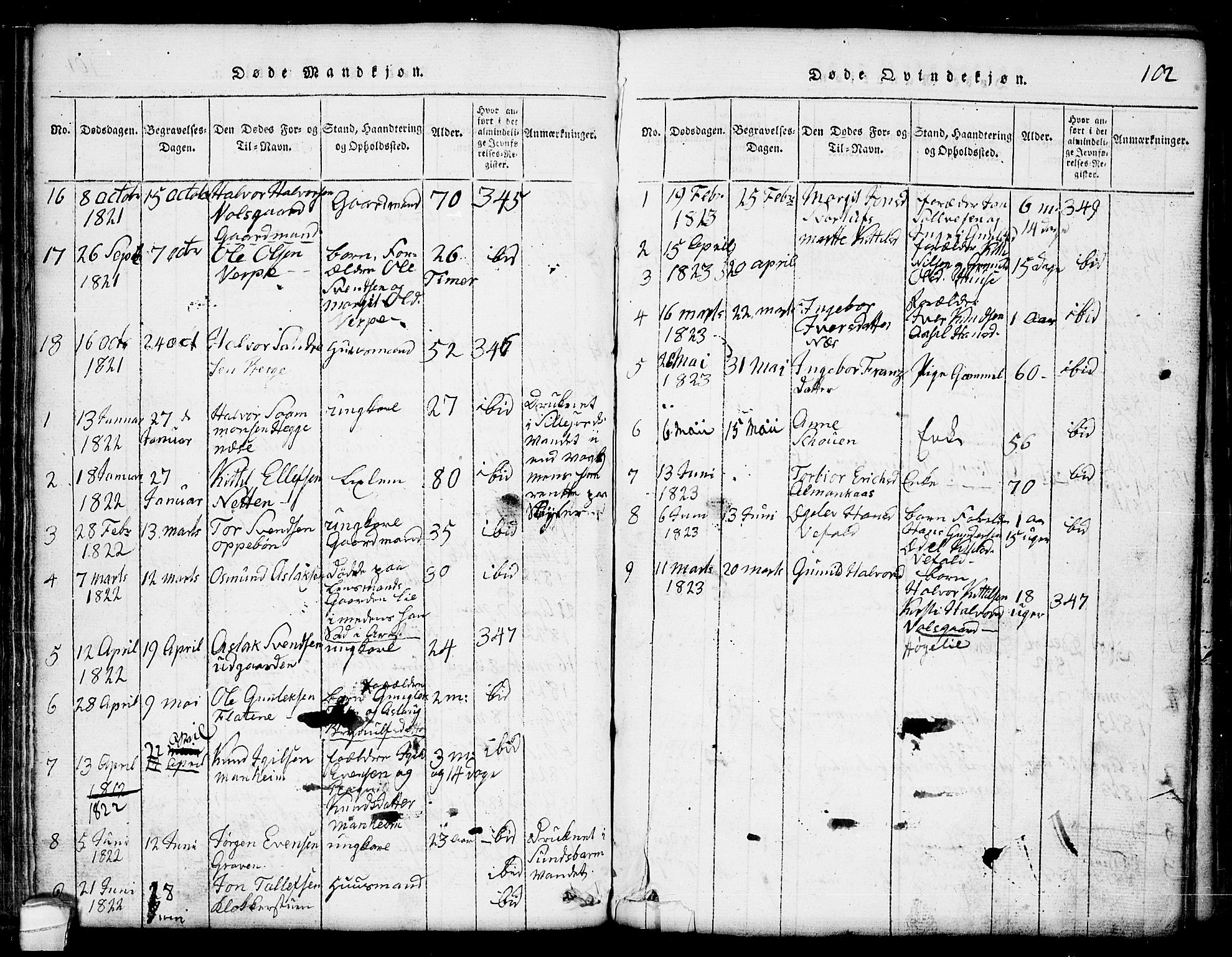 Seljord kirkebøker, AV/SAKO-A-20/G/Ga/L0001: Parish register (copy) no. I 1, 1815-1854, p. 102