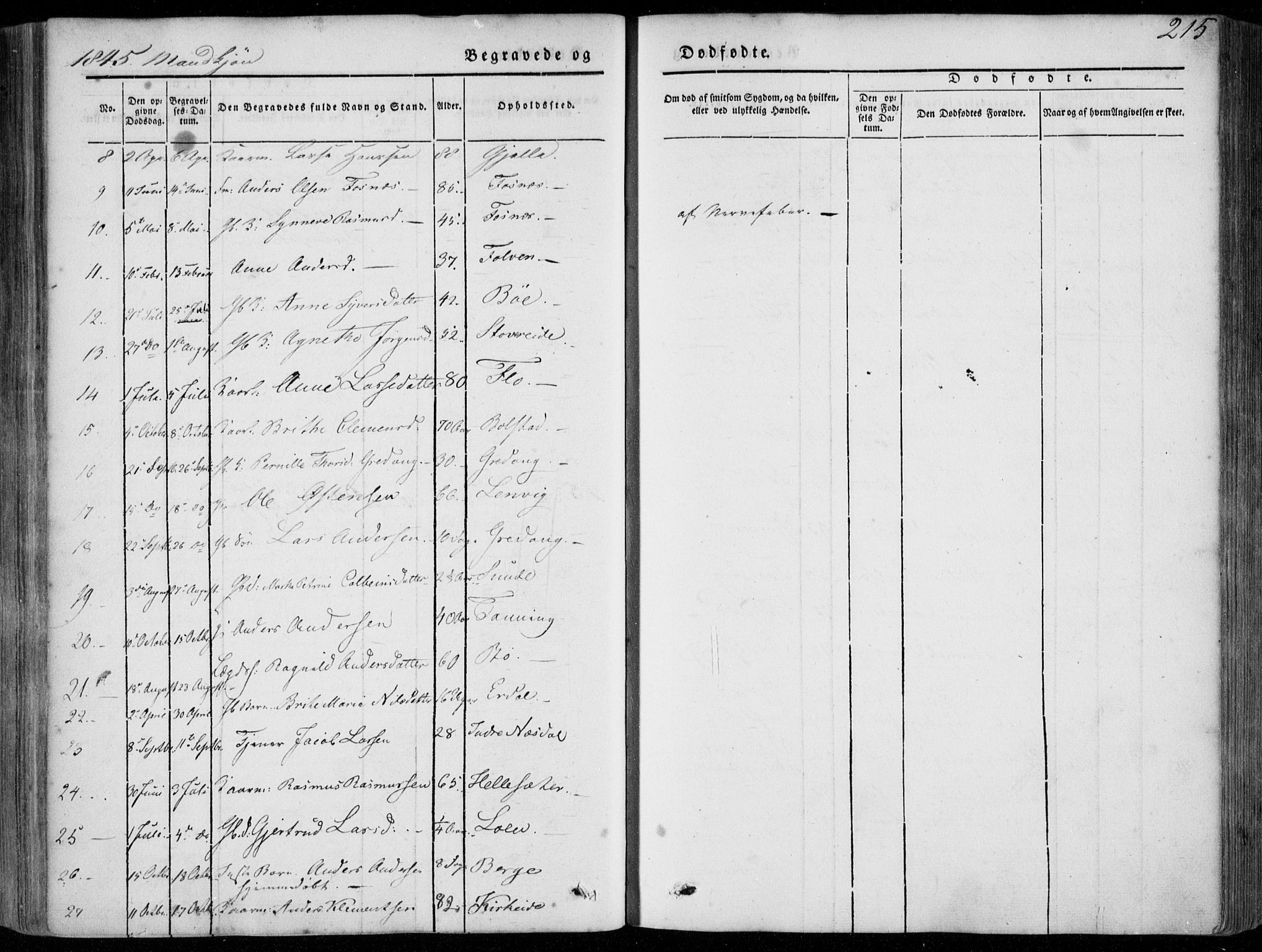 Stryn Sokneprestembete, SAB/A-82501: Parish register (official) no. A 2, 1844-1861, p. 215