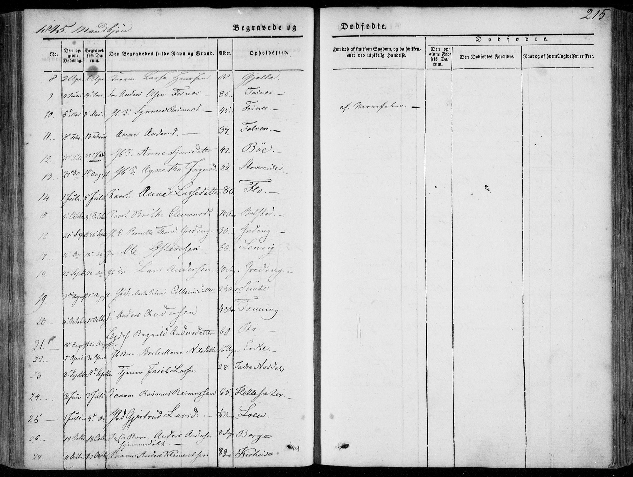 Stryn Sokneprestembete, AV/SAB-A-82501: Parish register (official) no. A 2, 1844-1861, p. 215