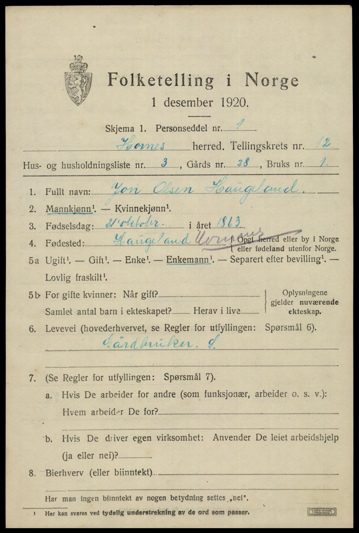 SAK, 1920 census for Hornnes, 1920, p. 2897