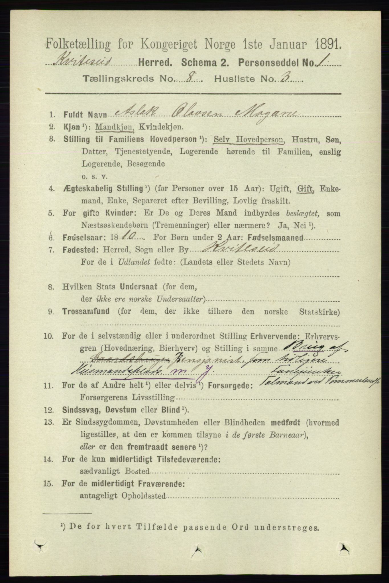 RA, 1891 census for 0829 Kviteseid, 1891, p. 1618