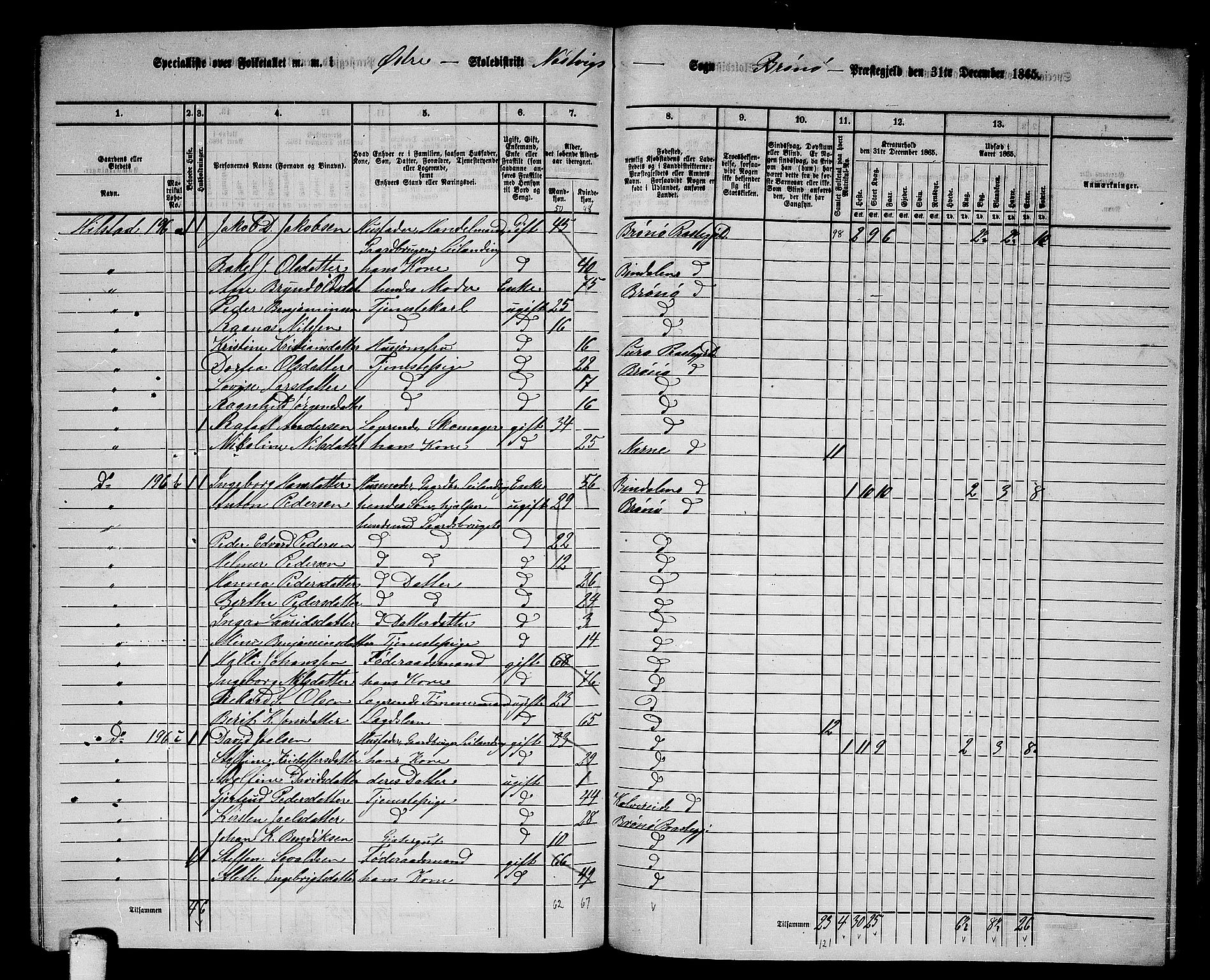 RA, 1865 census for Brønnøy, 1865, p. 197