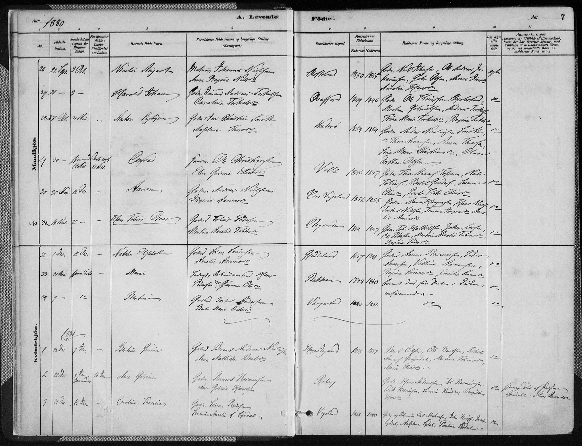 Sør-Audnedal sokneprestkontor, AV/SAK-1111-0039/F/Fa/Fab/L0009: Parish register (official) no. A 9, 1880-1895, p. 7