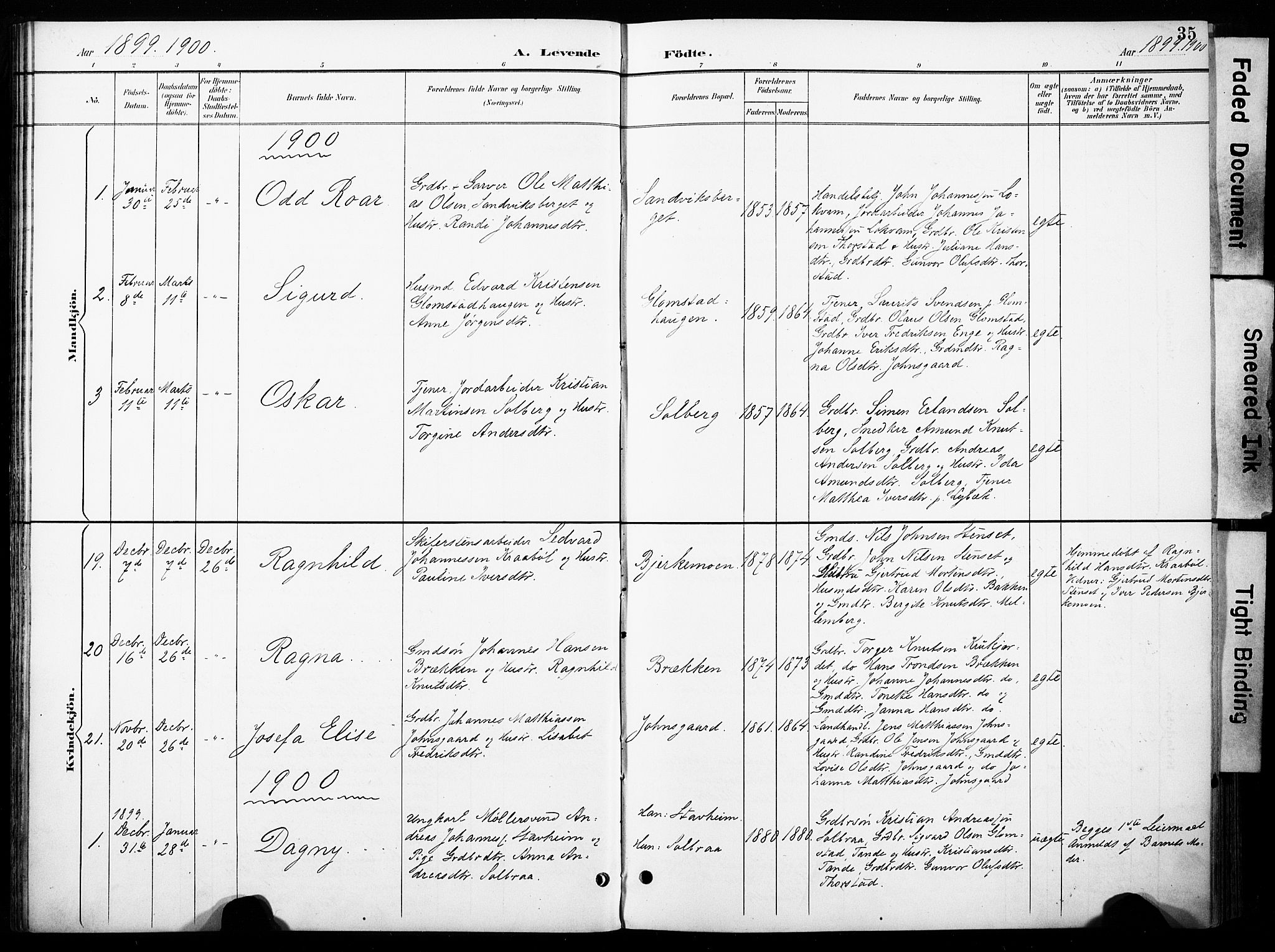 Øyer prestekontor, SAH/PREST-084/H/Ha/Haa/L0011: Parish register (official) no. 11, 1894-1905, p. 35