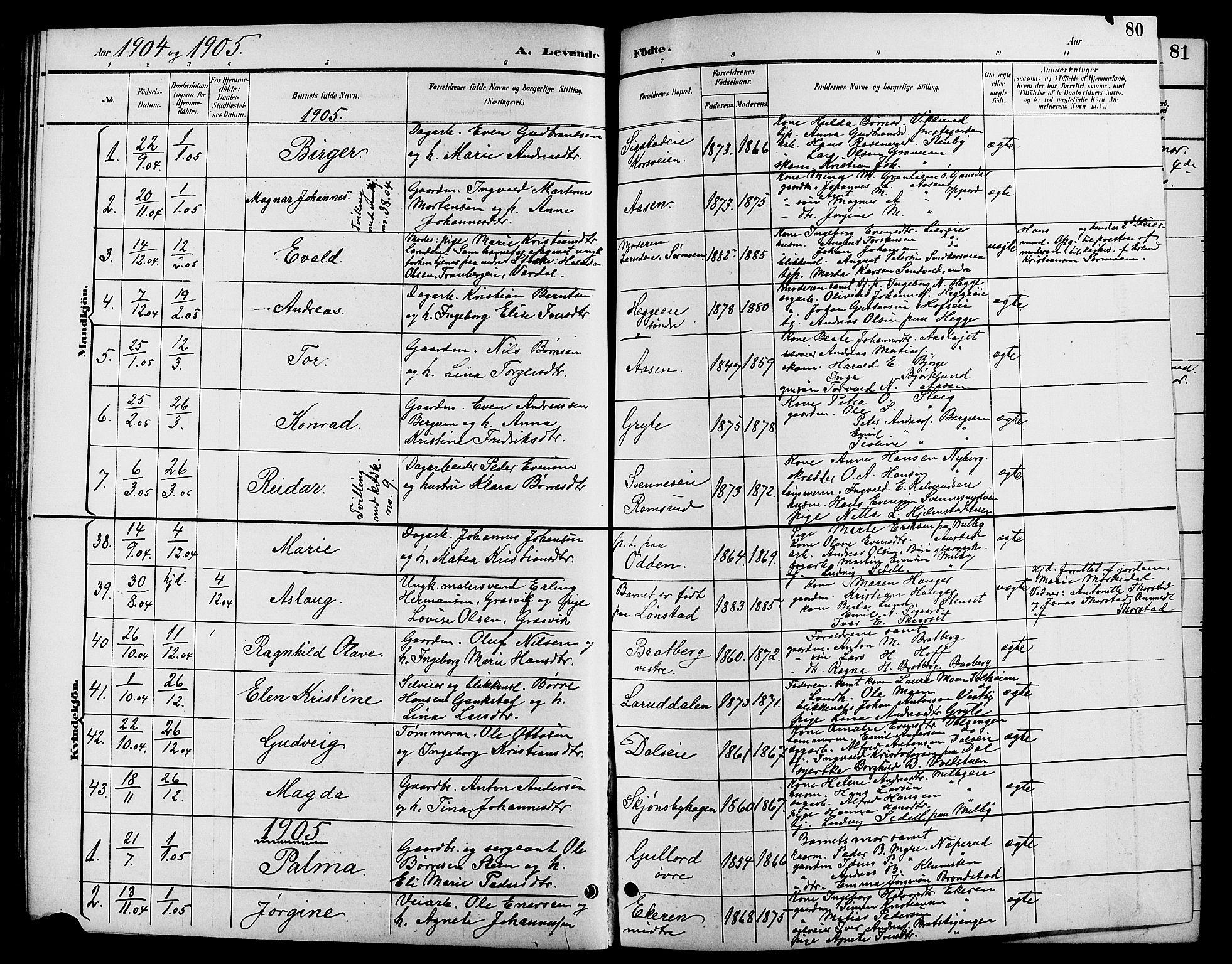 Biri prestekontor, SAH/PREST-096/H/Ha/Hab/L0004: Parish register (copy) no. 4, 1892-1909, p. 80