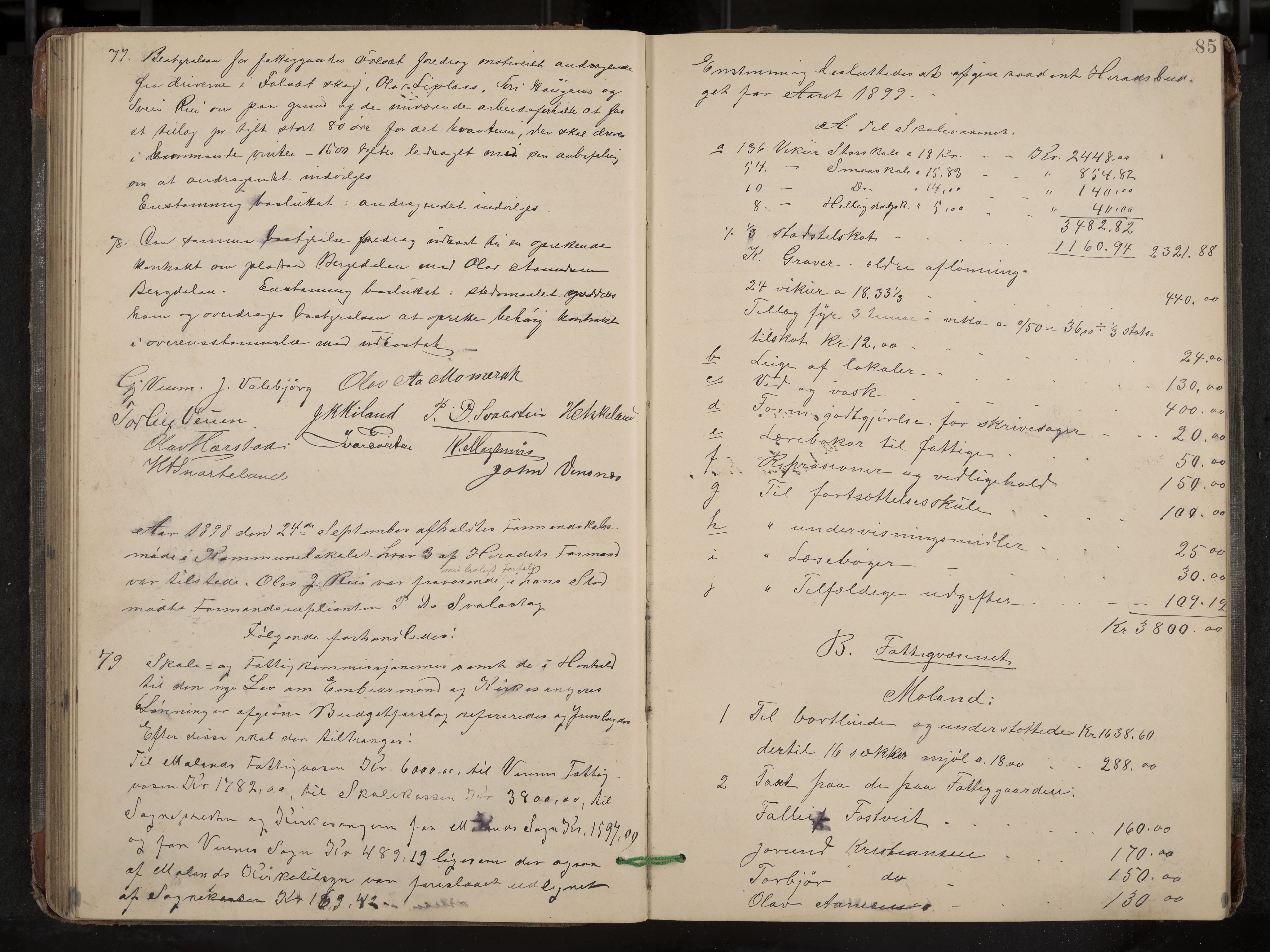 Fyresdal formannskap og sentraladministrasjon, IKAK/0831021-1/Aa/L0003: Møtebok, 1894-1903, p. 85