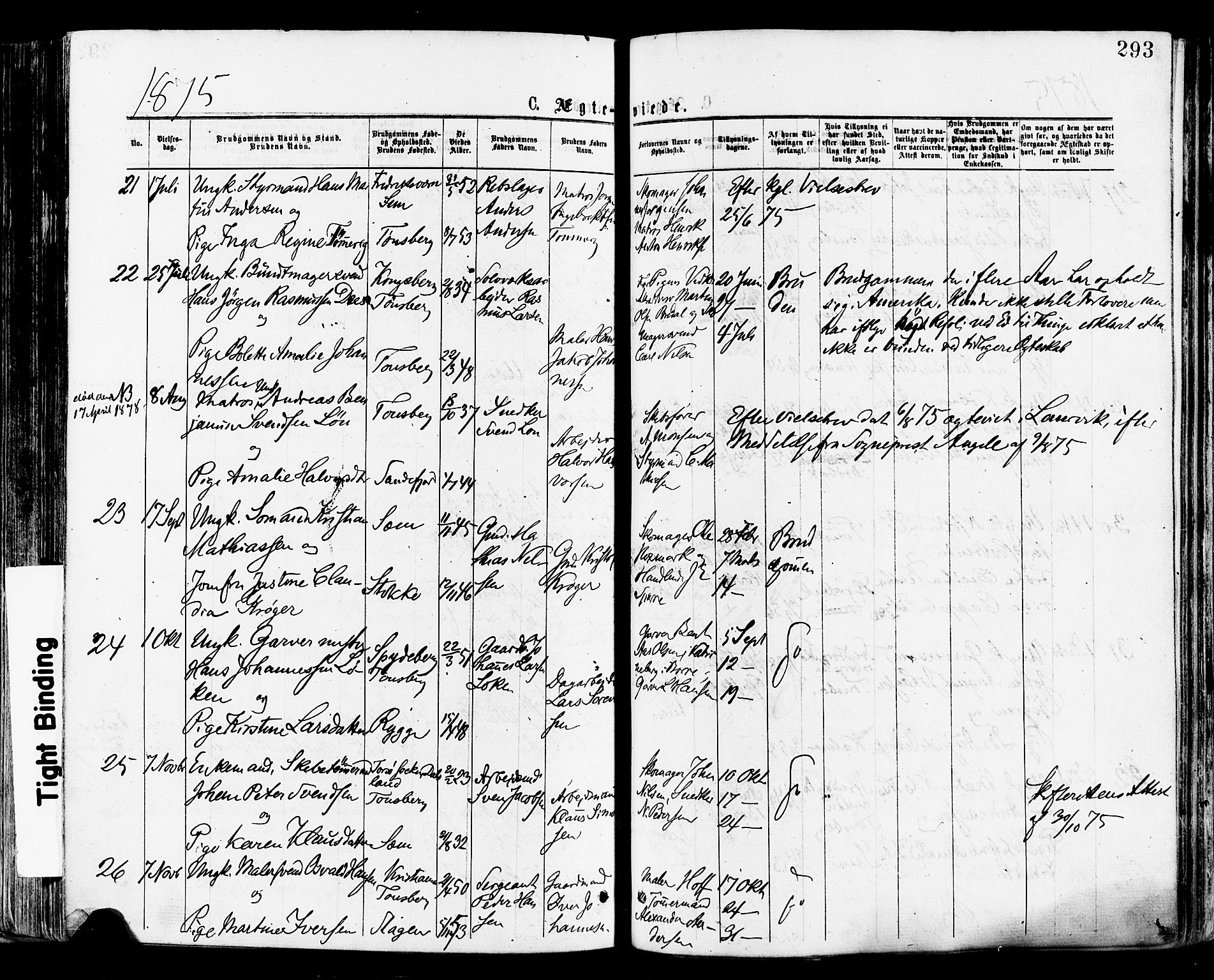 Tønsberg kirkebøker, AV/SAKO-A-330/F/Fa/L0010: Parish register (official) no. I 10, 1874-1880, p. 293