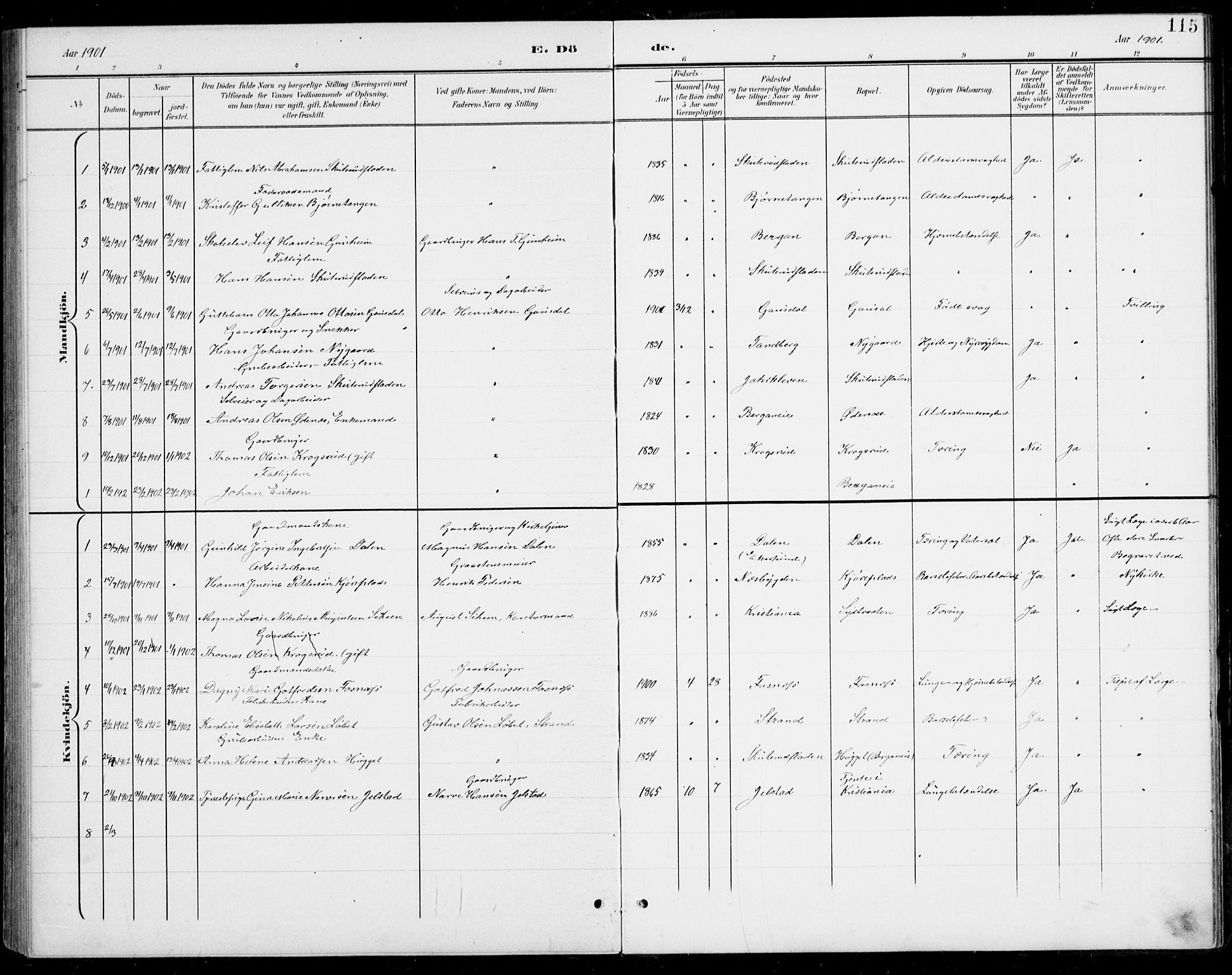 Modum kirkebøker, SAKO/A-234/G/Gb/L0001: Parish register (copy) no. II 1, 1901-1942, p. 115