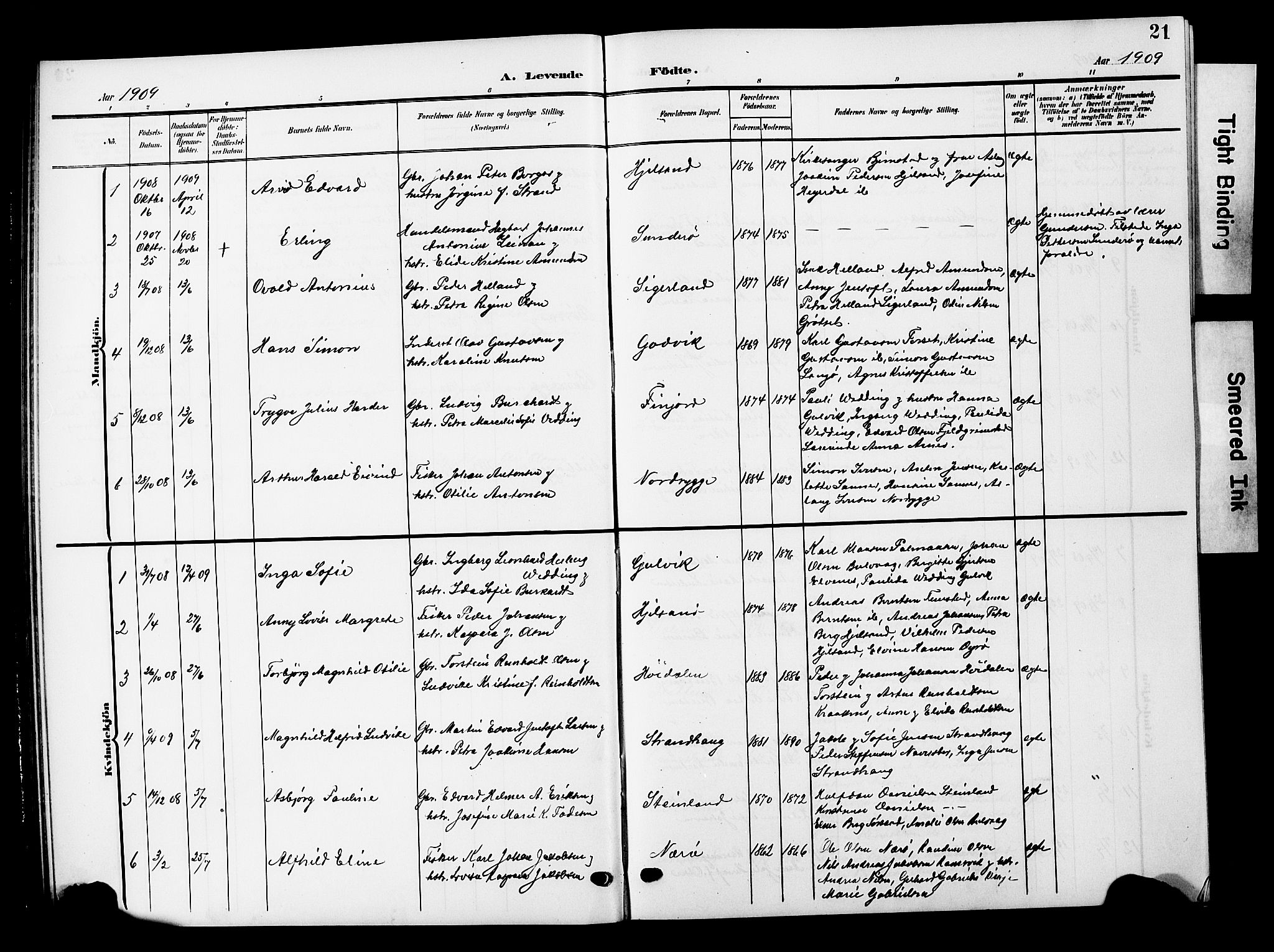 Ministerialprotokoller, klokkerbøker og fødselsregistre - Nordland, AV/SAT-A-1459/893/L1350: Parish register (copy) no. 893C05, 1906-1927, p. 21