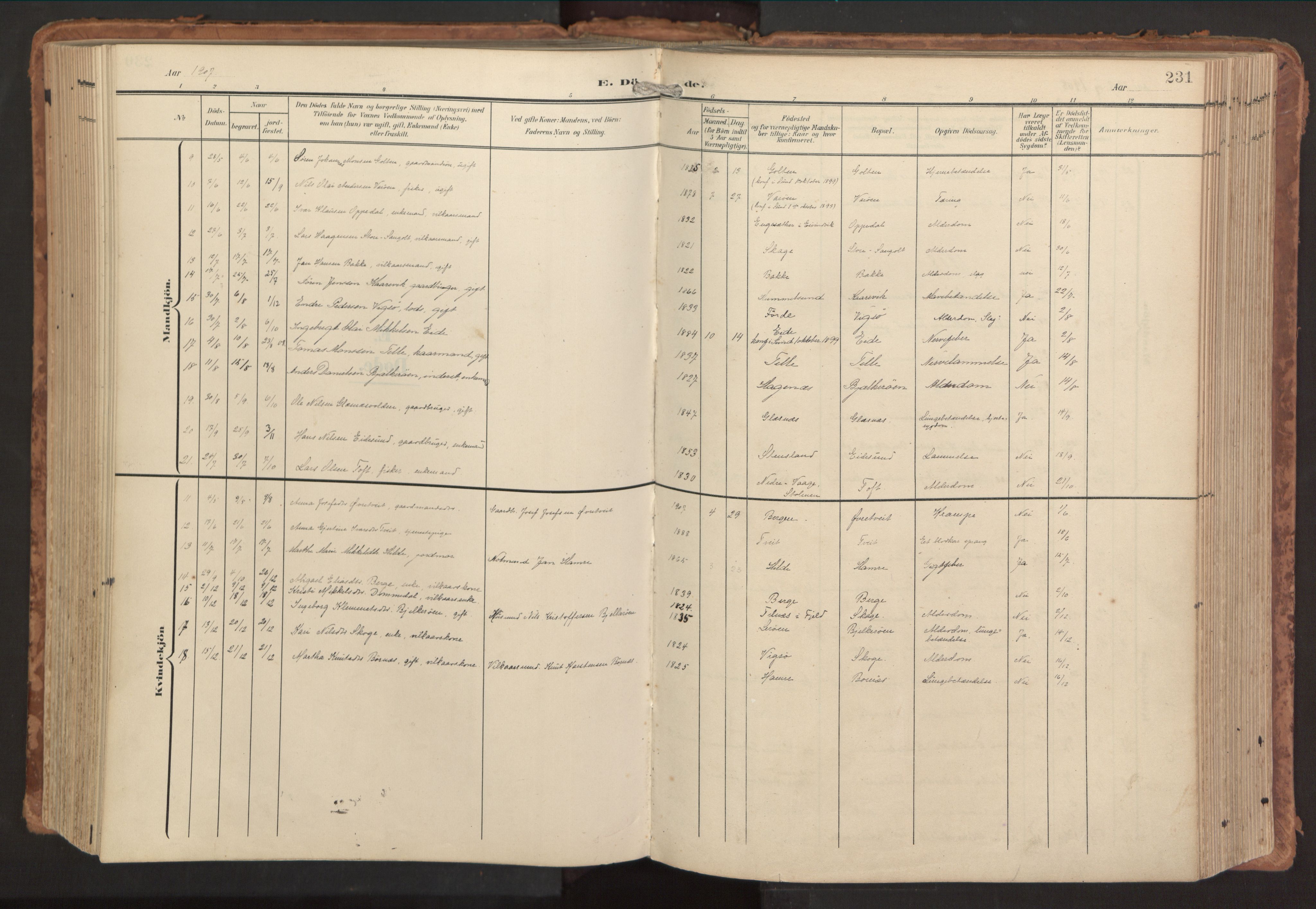 Sund sokneprestembete, SAB/A-99930: Parish register (official) no. B 2, 1907-1926, p. 231