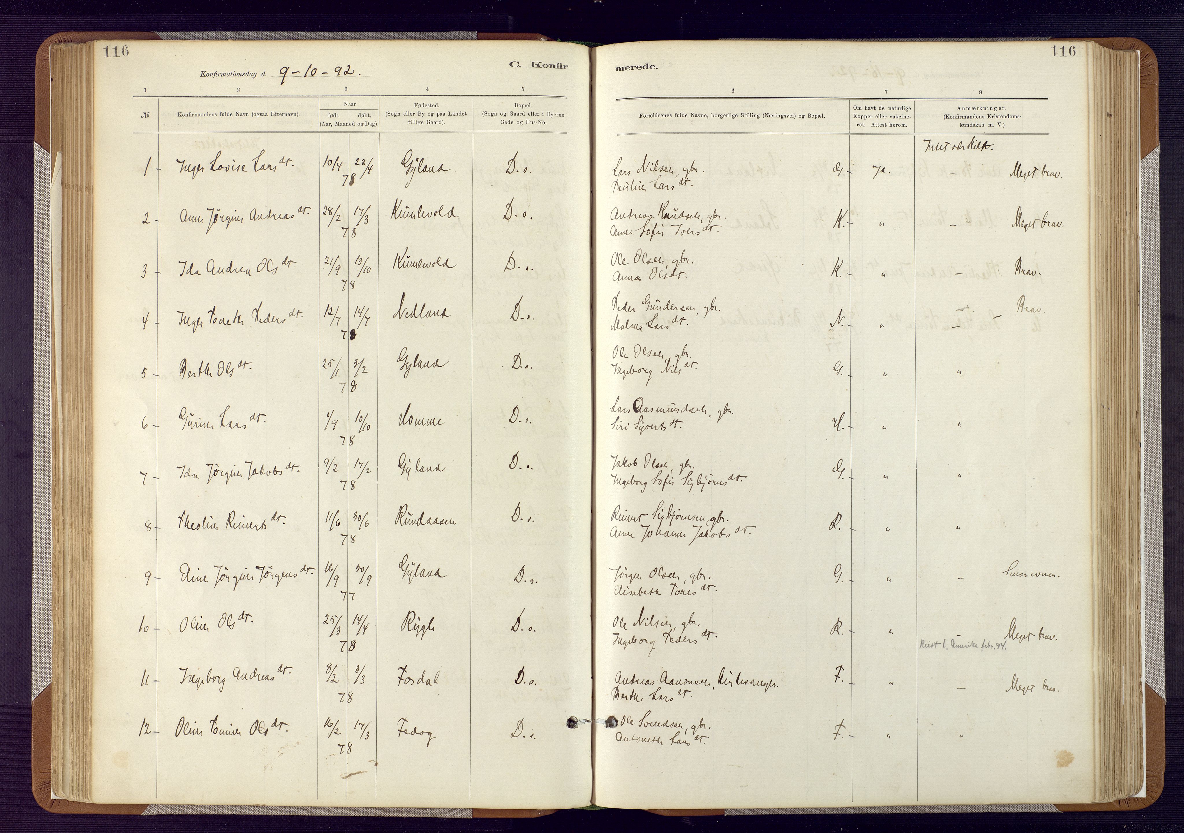 Bakke sokneprestkontor, AV/SAK-1111-0002/F/Fa/Fab/L0003: Parish register (official) no. A 3, 1884-1921, p. 116