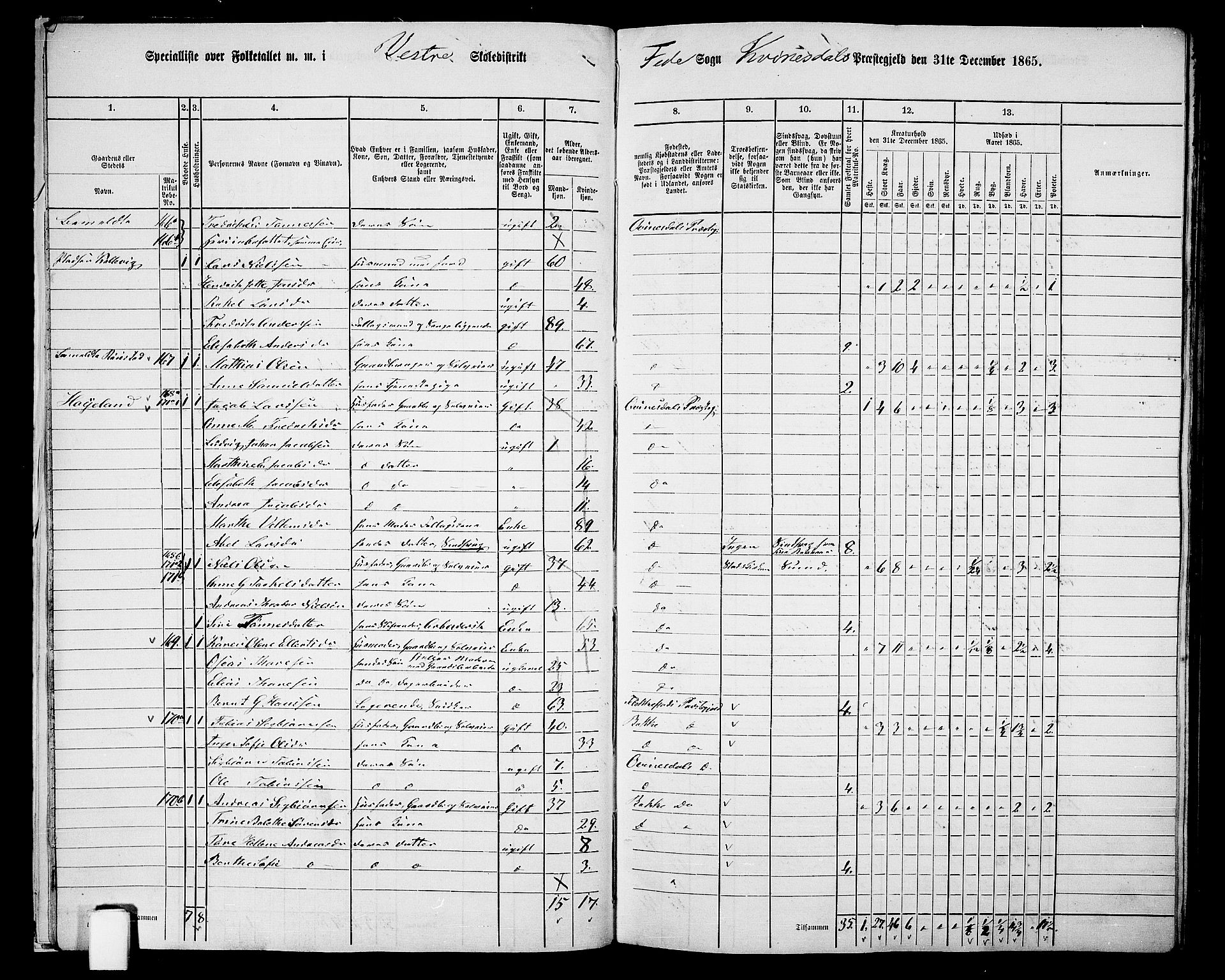 RA, 1865 census for Kvinesdal, 1865, p. 24