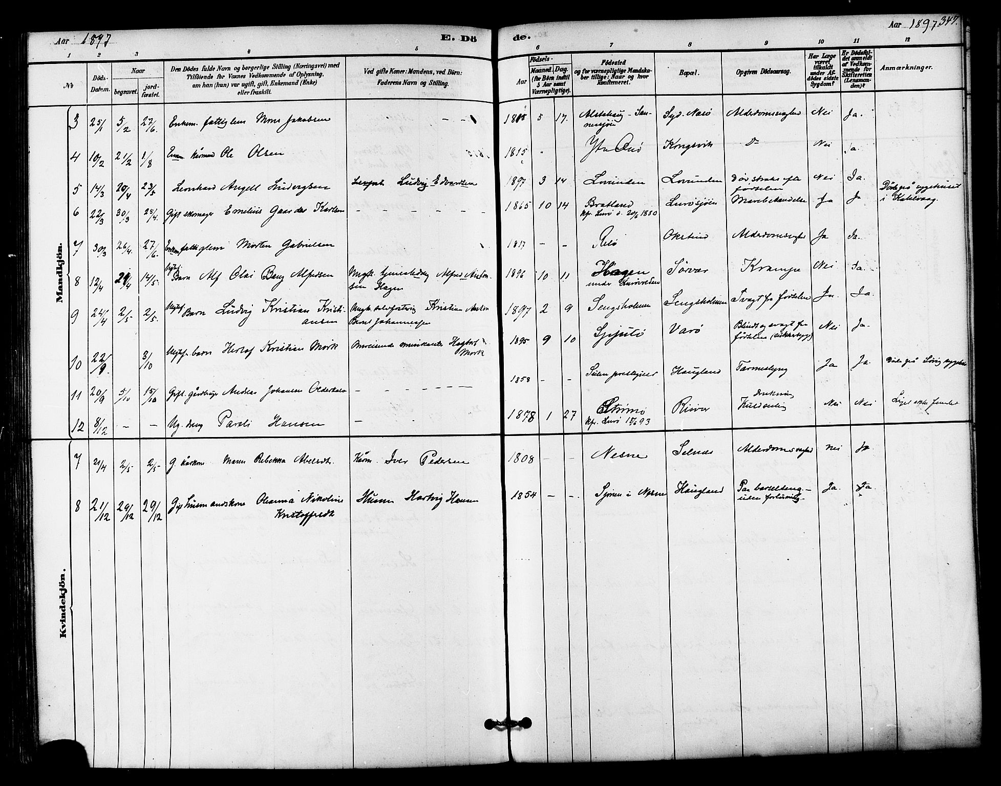 Ministerialprotokoller, klokkerbøker og fødselsregistre - Nordland, AV/SAT-A-1459/839/L0568: Parish register (official) no. 839A05, 1880-1902, p. 347