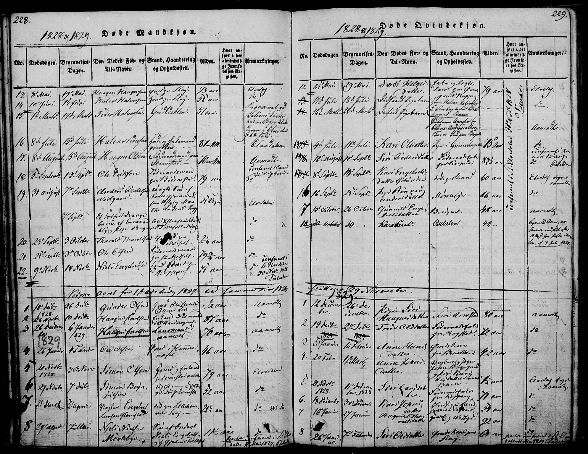 Åmot prestekontor, Hedmark, SAH/PREST-056/H/Ha/Haa/L0005: Parish register (official) no. 5, 1815-1841, p. 228-229