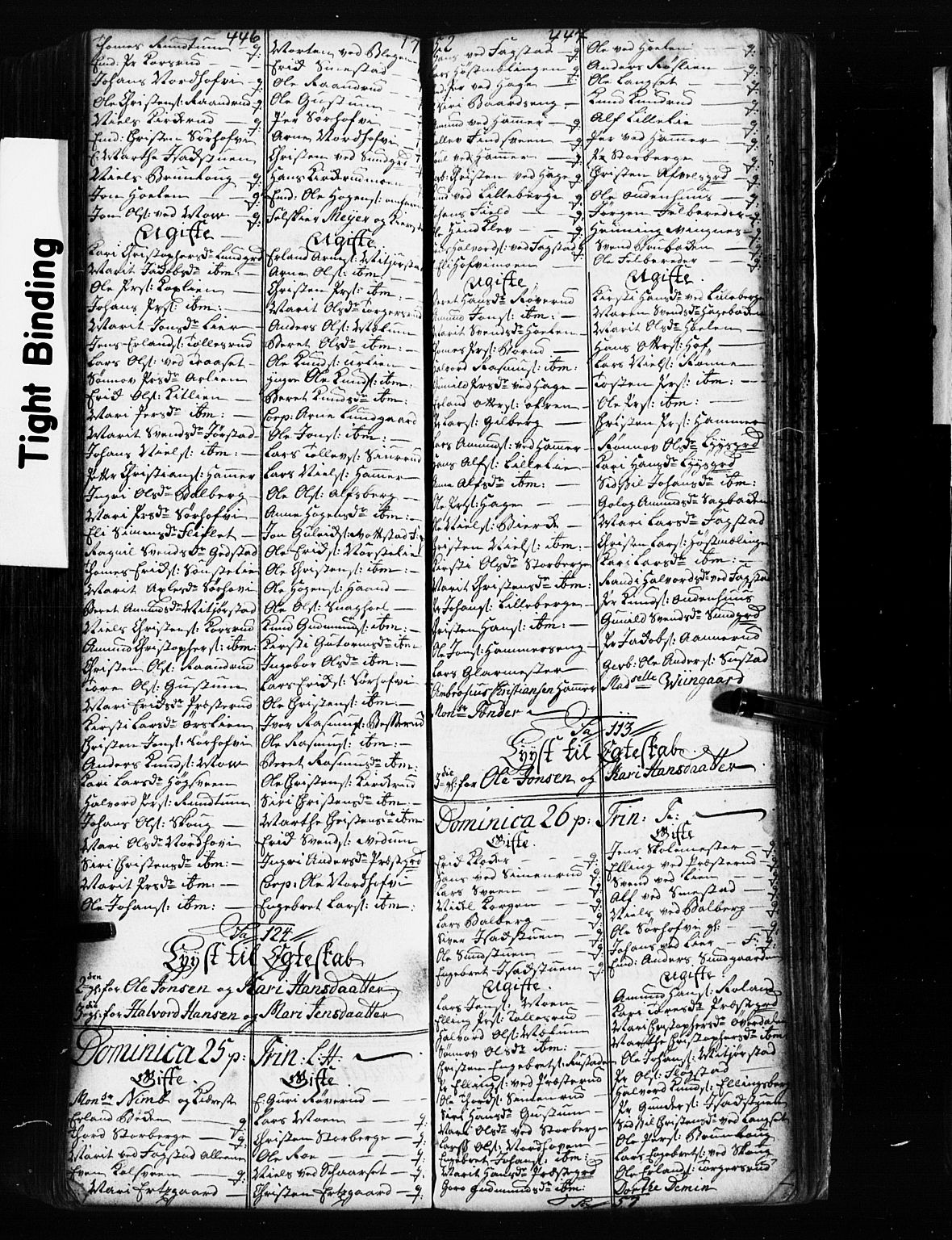 Fåberg prestekontor, SAH/PREST-086/H/Ha/Hab/L0002: Parish register (copy) no. 2, 1741-1756, p. 446-447