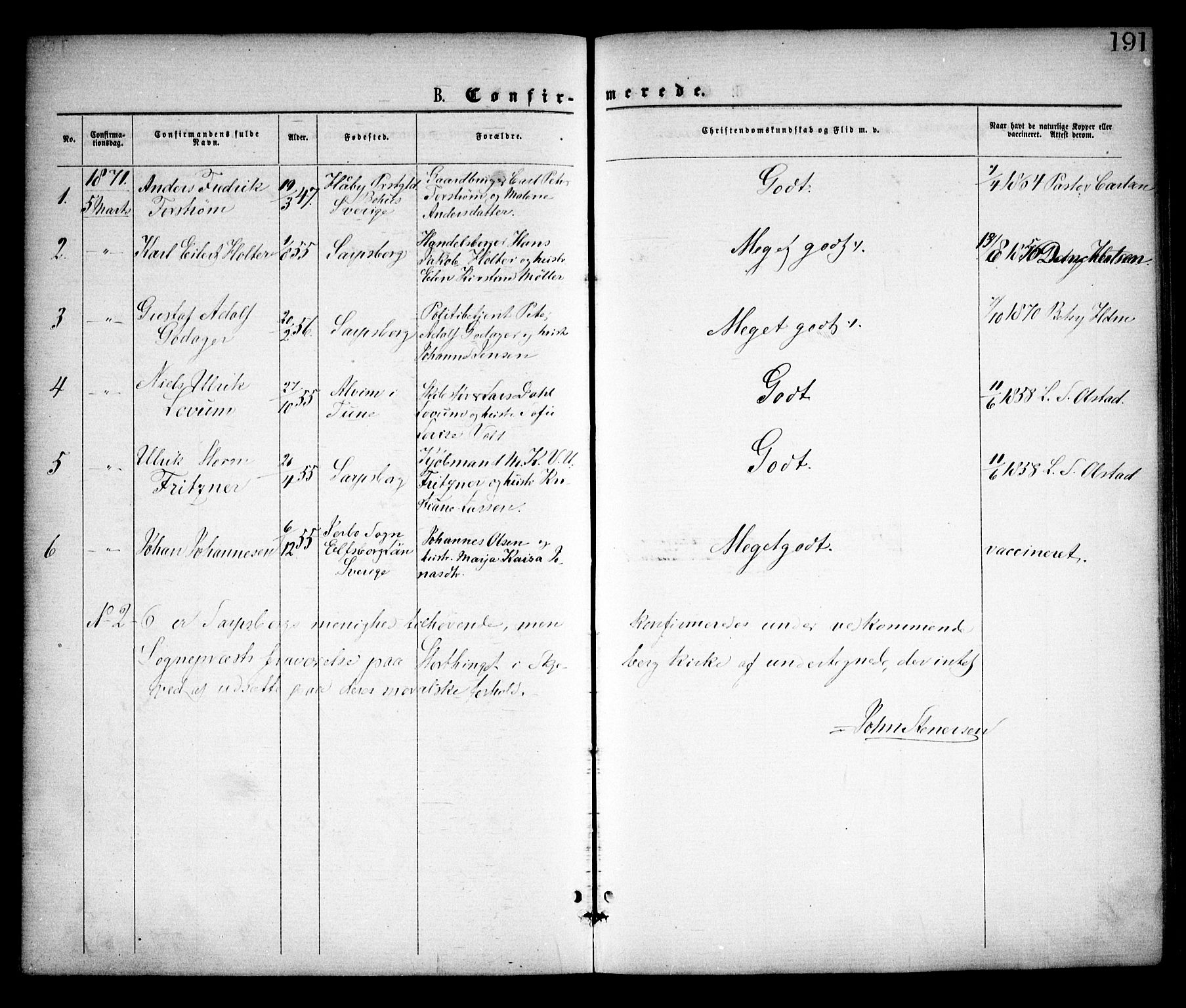 Skjeberg prestekontor Kirkebøker, SAO/A-10923/F/Fa/L0008: Parish register (official) no. I 8, 1869-1885, p. 191