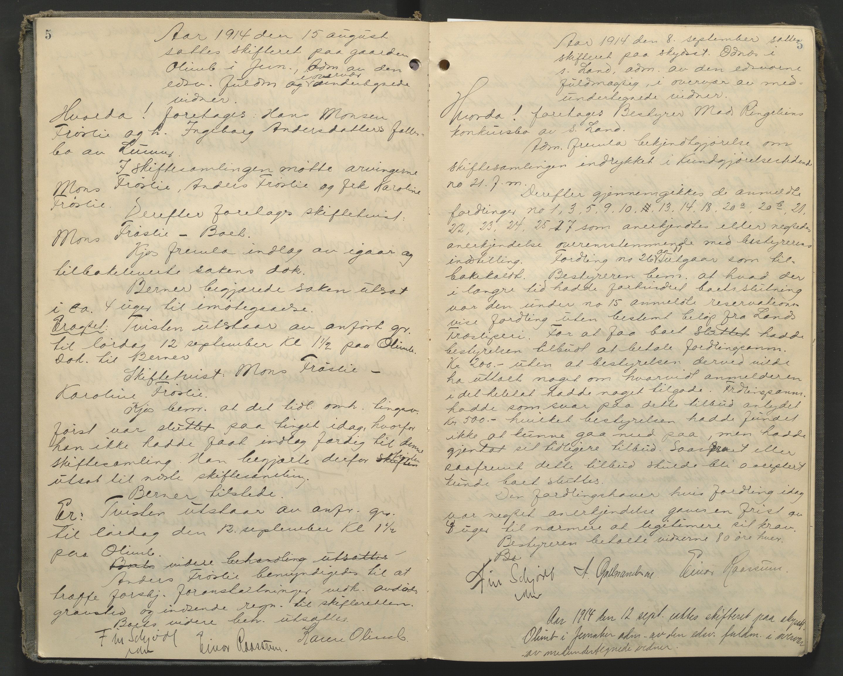 Hadeland og Land tingrett, AV/SAH-TING-010/J/Jc/L0010: Skifteforhandlingsprotokoll, 1914-1920, p. 5