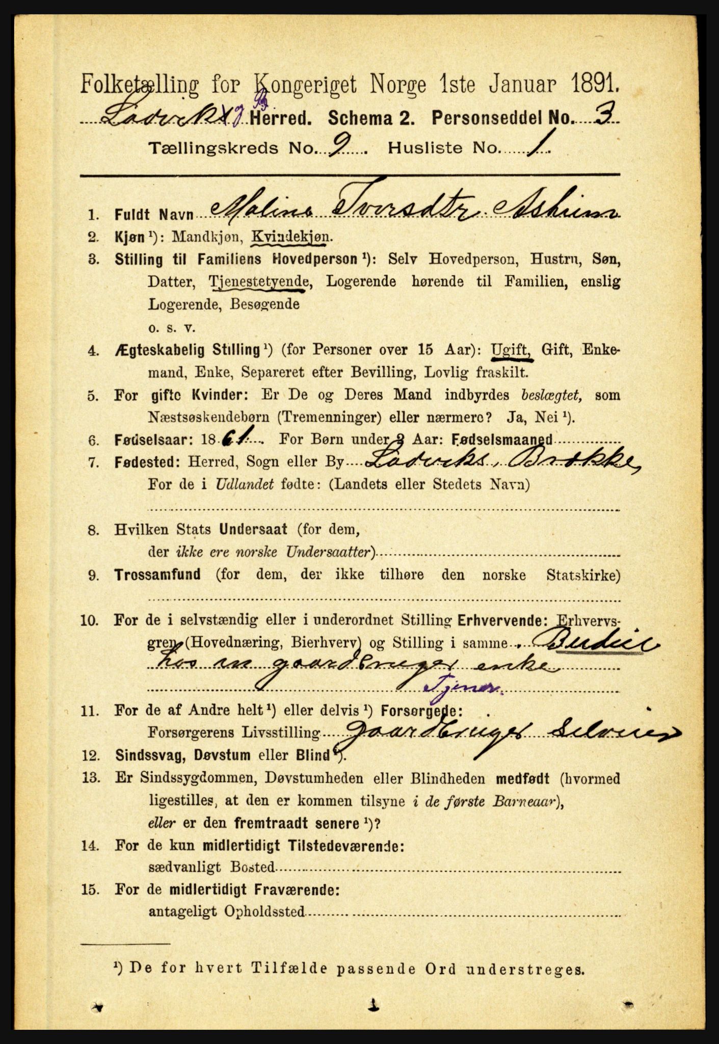 RA, 1891 census for 1415 Lavik og Brekke, 1891, p. 1805