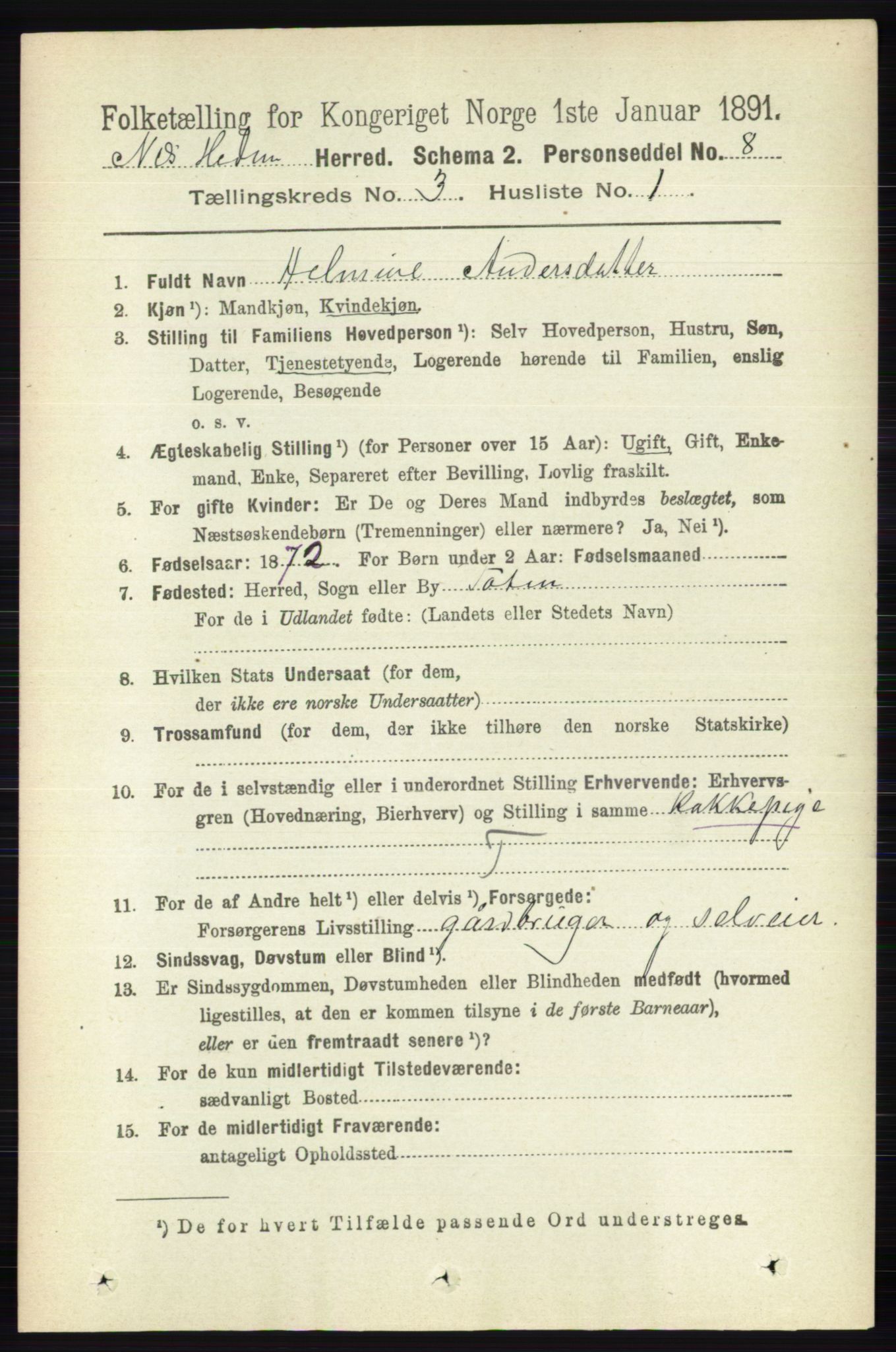 RA, 1891 census for 0411 Nes, 1891, p. 1595