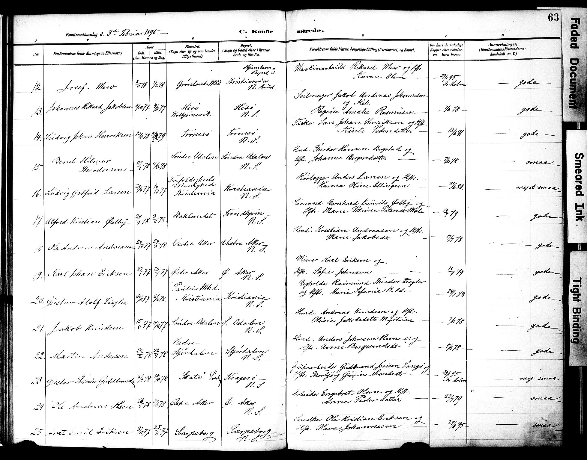 Nes prestekontor, Hedmark, AV/SAH-PREST-020/K/Ka/L0010: Parish register (official) no. 10, 1887-1905, p. 63