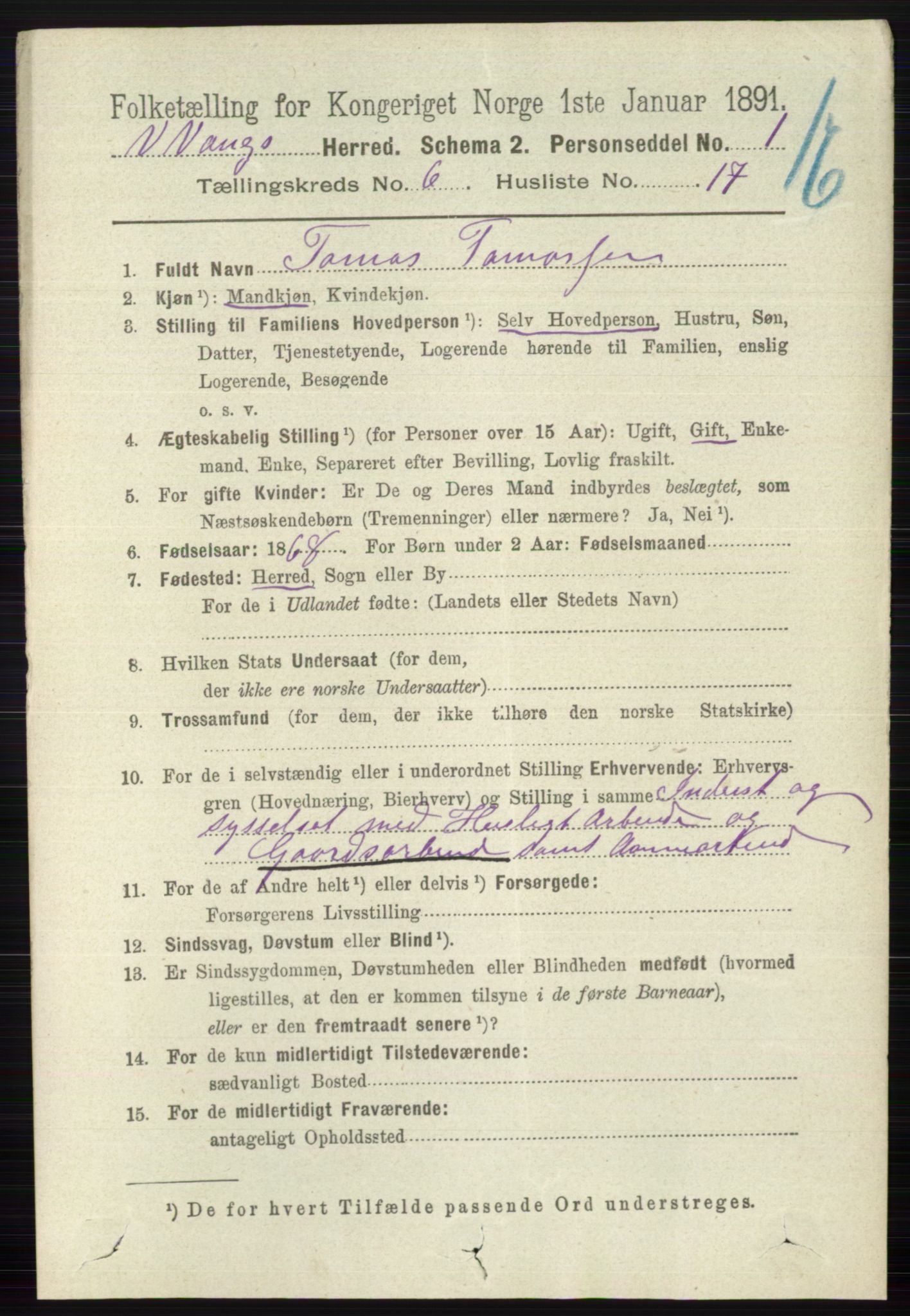 RA, 1891 census for 0545 Vang, 1891, p. 1357