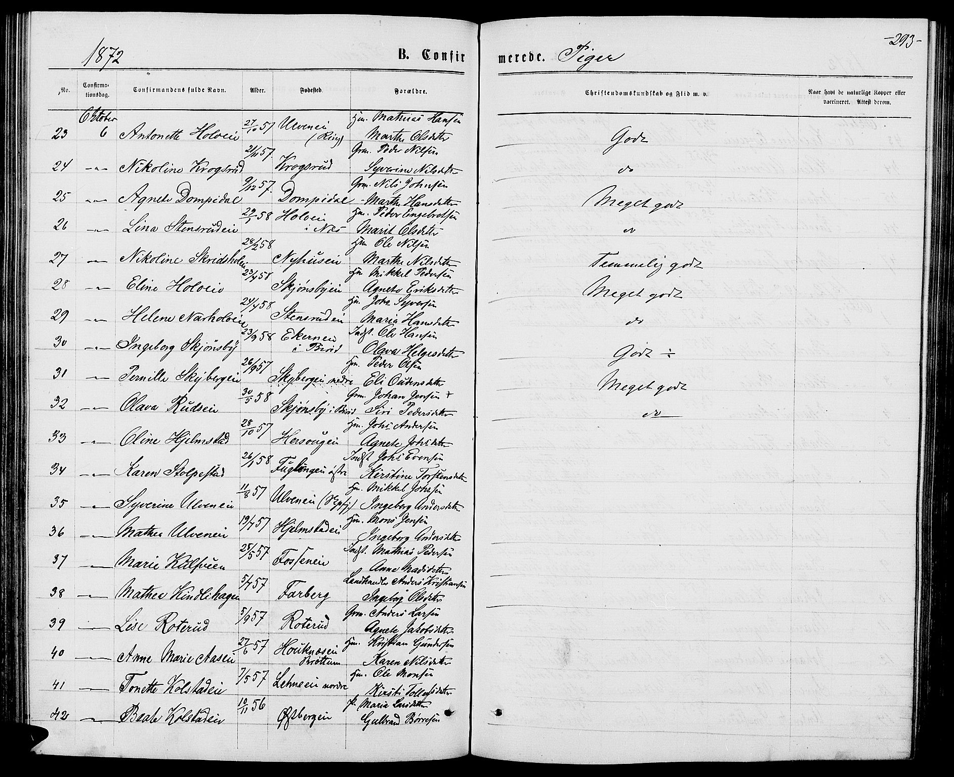 Ringsaker prestekontor, AV/SAH-PREST-014/L/La/L0008: Parish register (copy) no. 8, 1870-1878, p. 293